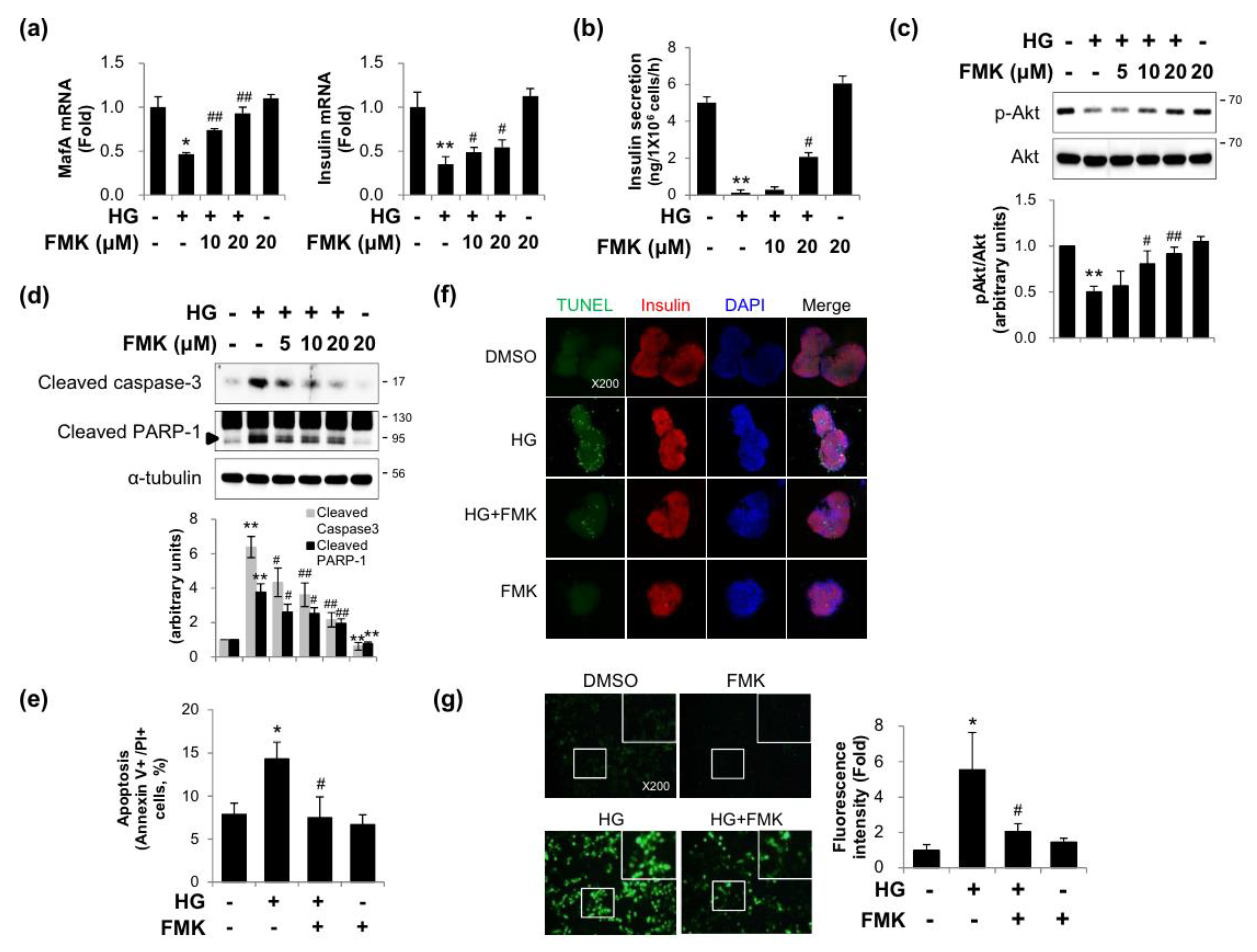 Ijms 20 04424 g001 550