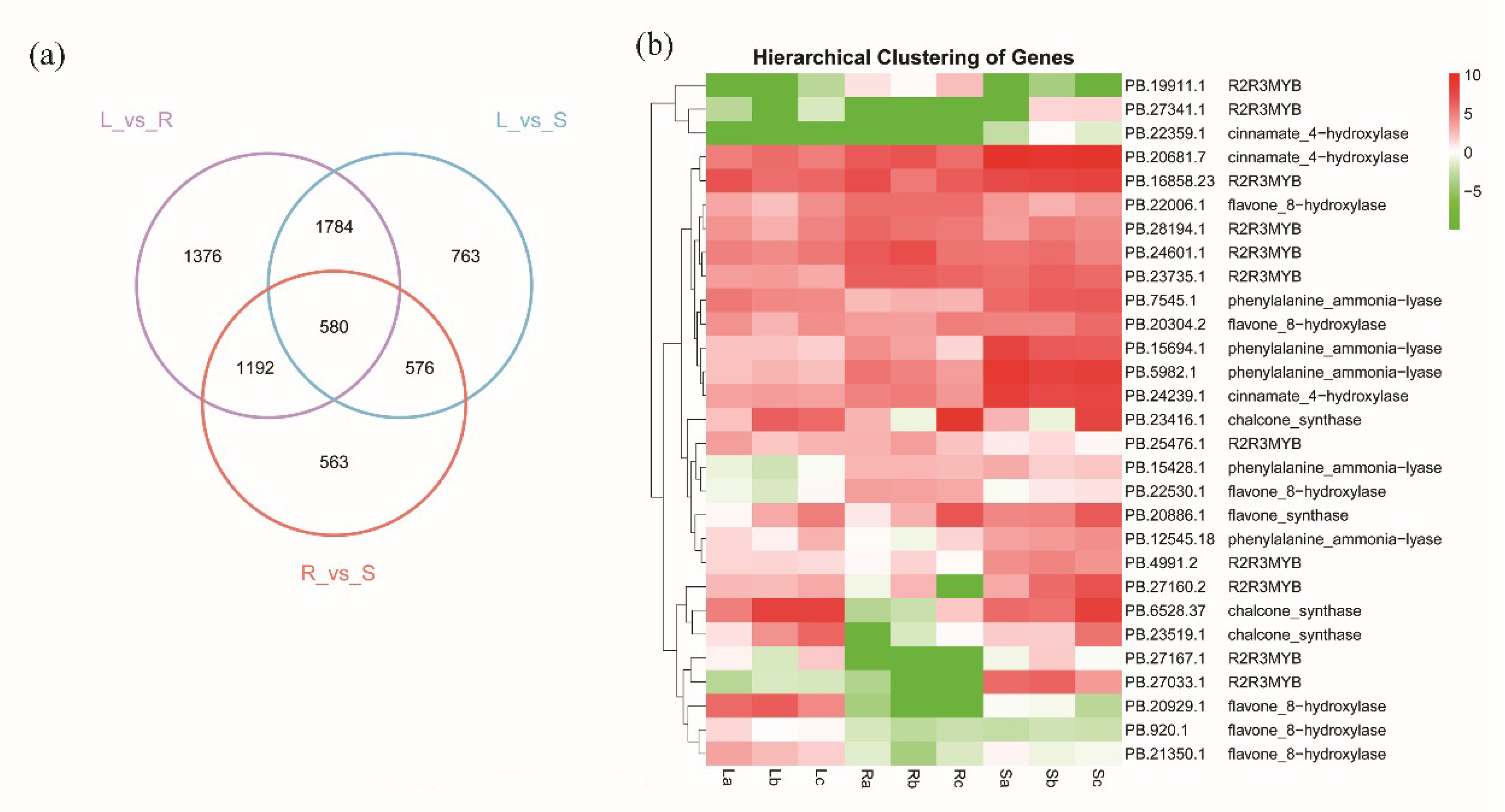 Ijms 20 04426 g003 Ijms 20 04426 g003