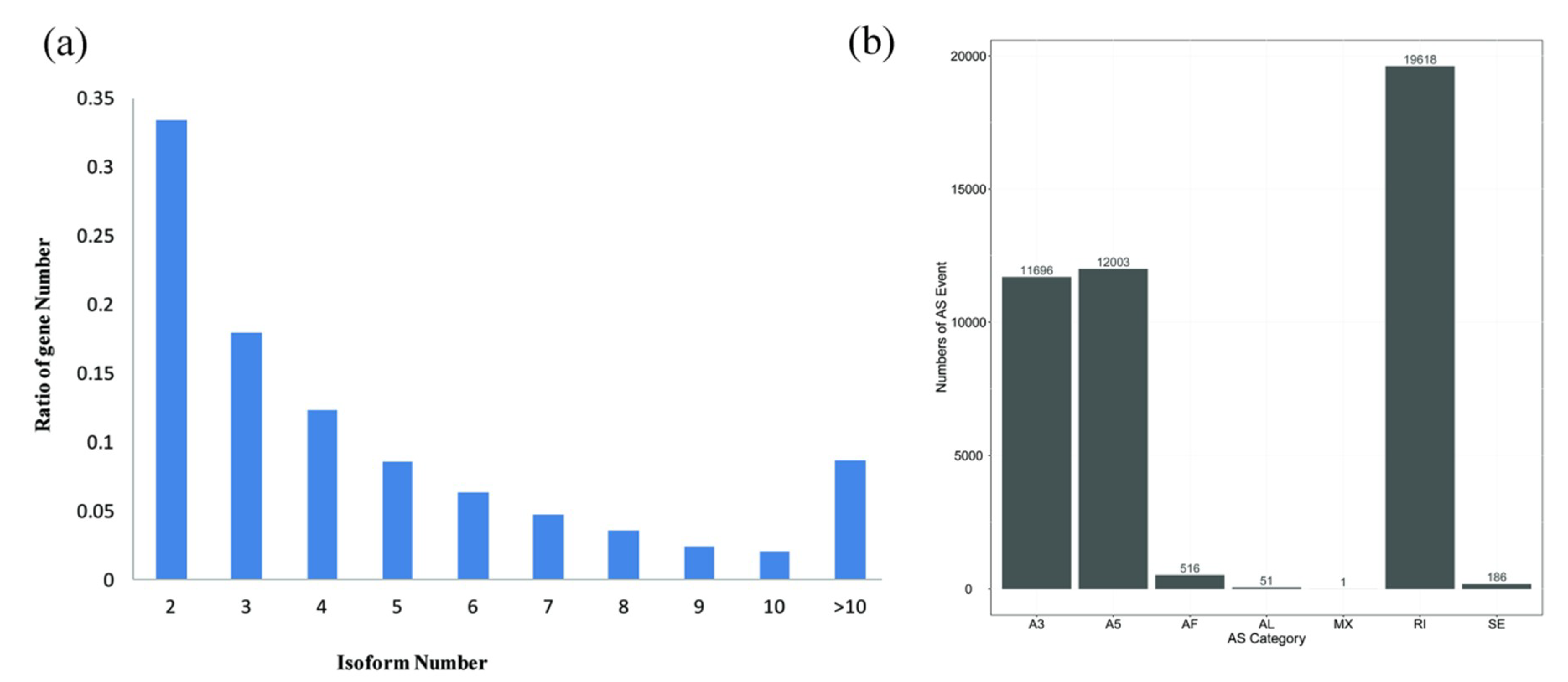 Ijms 20 04426 g004 Ijms 20 04426 g004