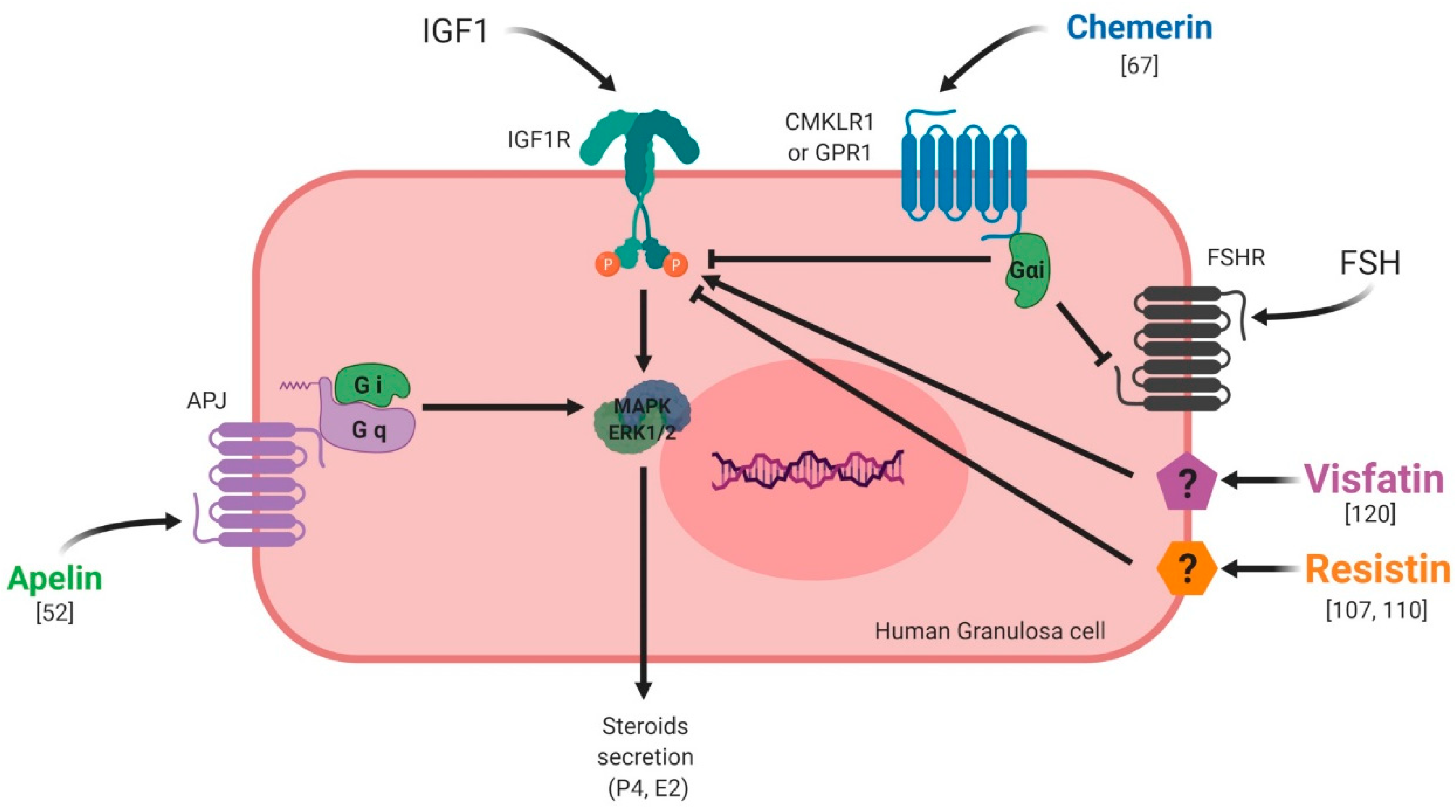 Ijms 20 04431 g009 Ijms 20 04431 g009