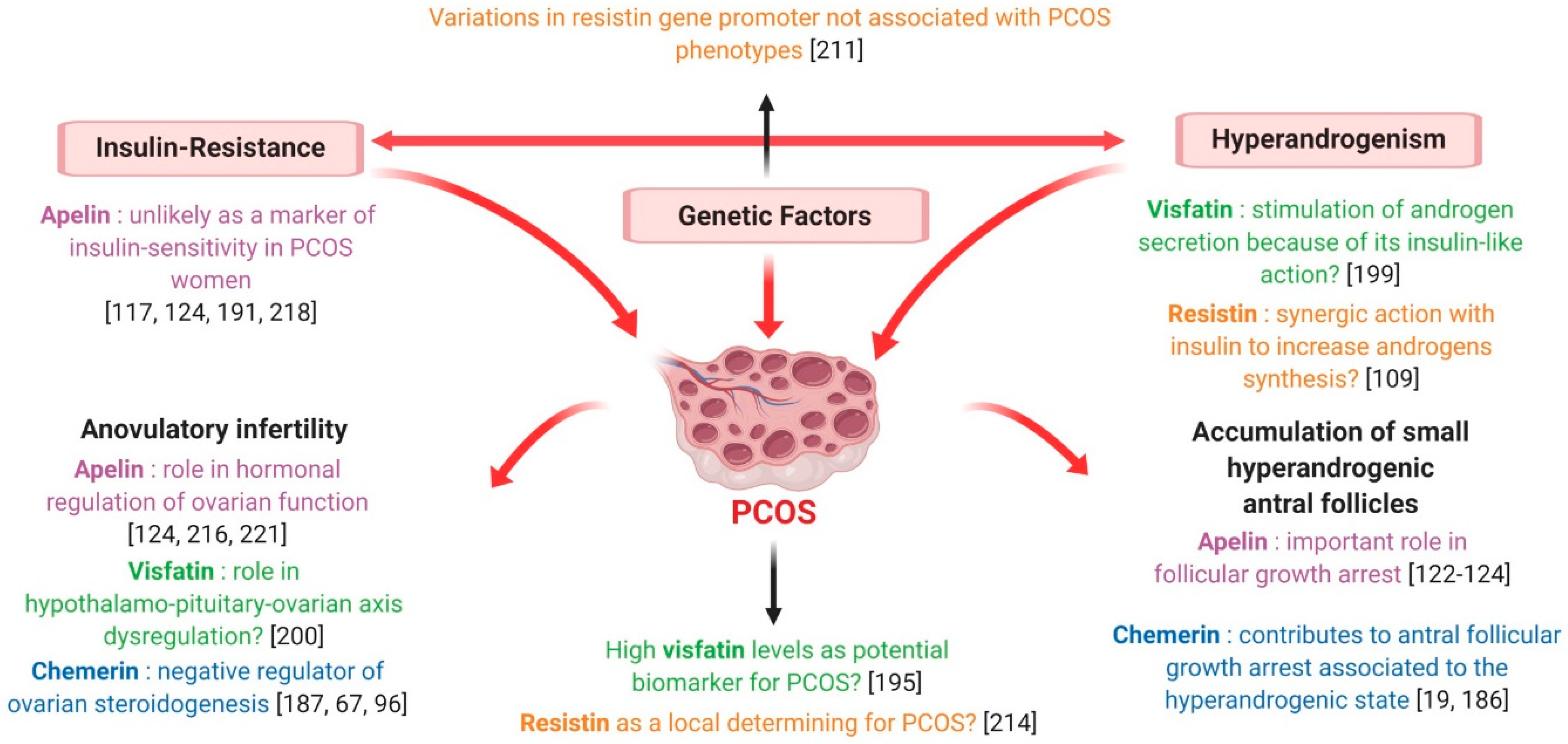 Ijms 20 04431 g012 Ijms 20 04431 g012