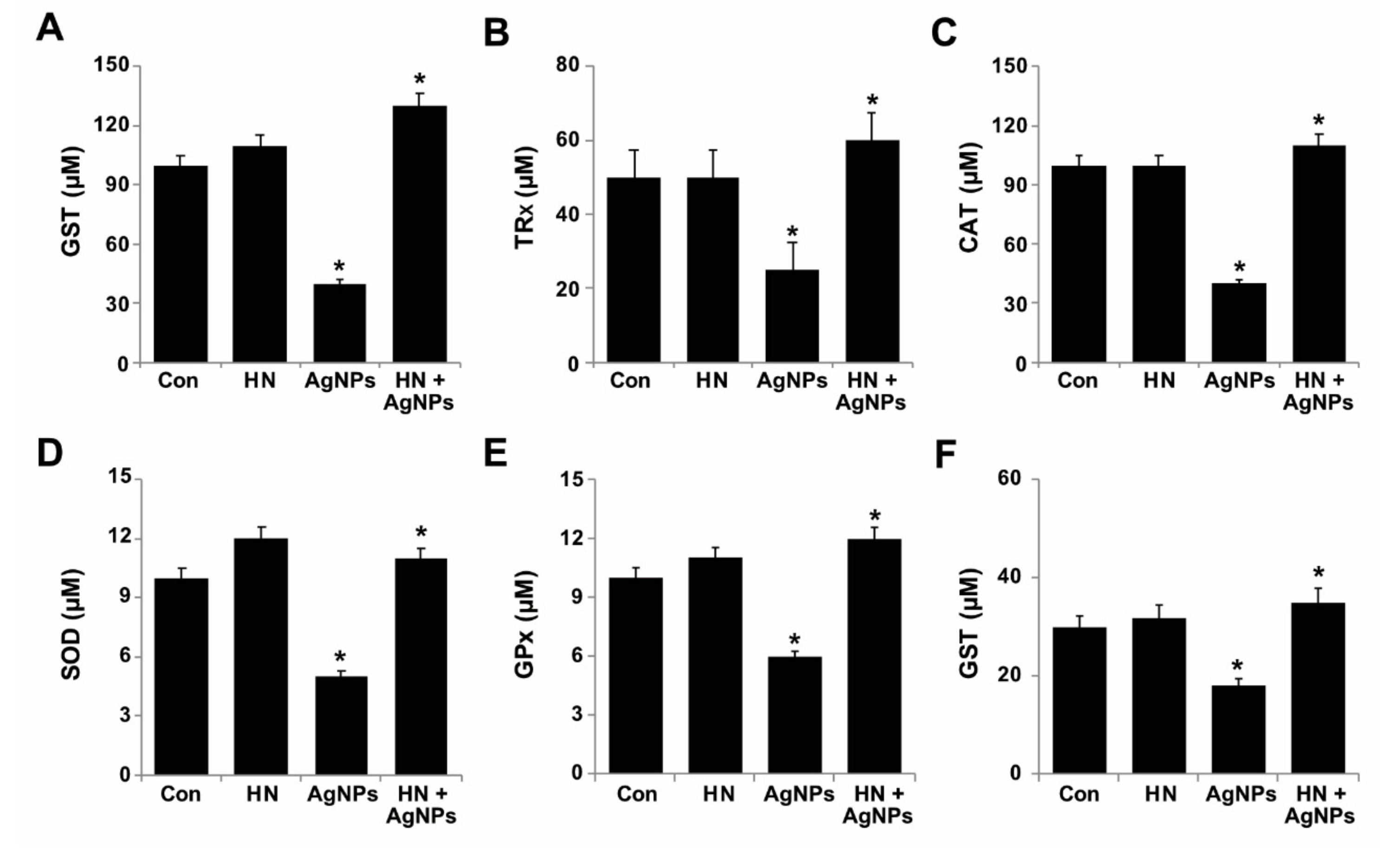 Ijms 20 04439 g008 Ijms 20 04439 g008