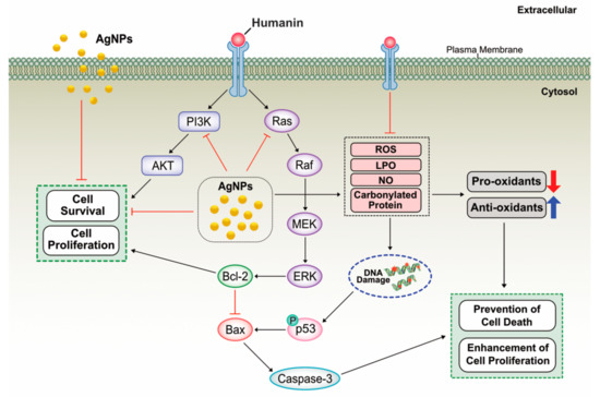 松岡 The high methylation level of a novel 151-bp CpG island in