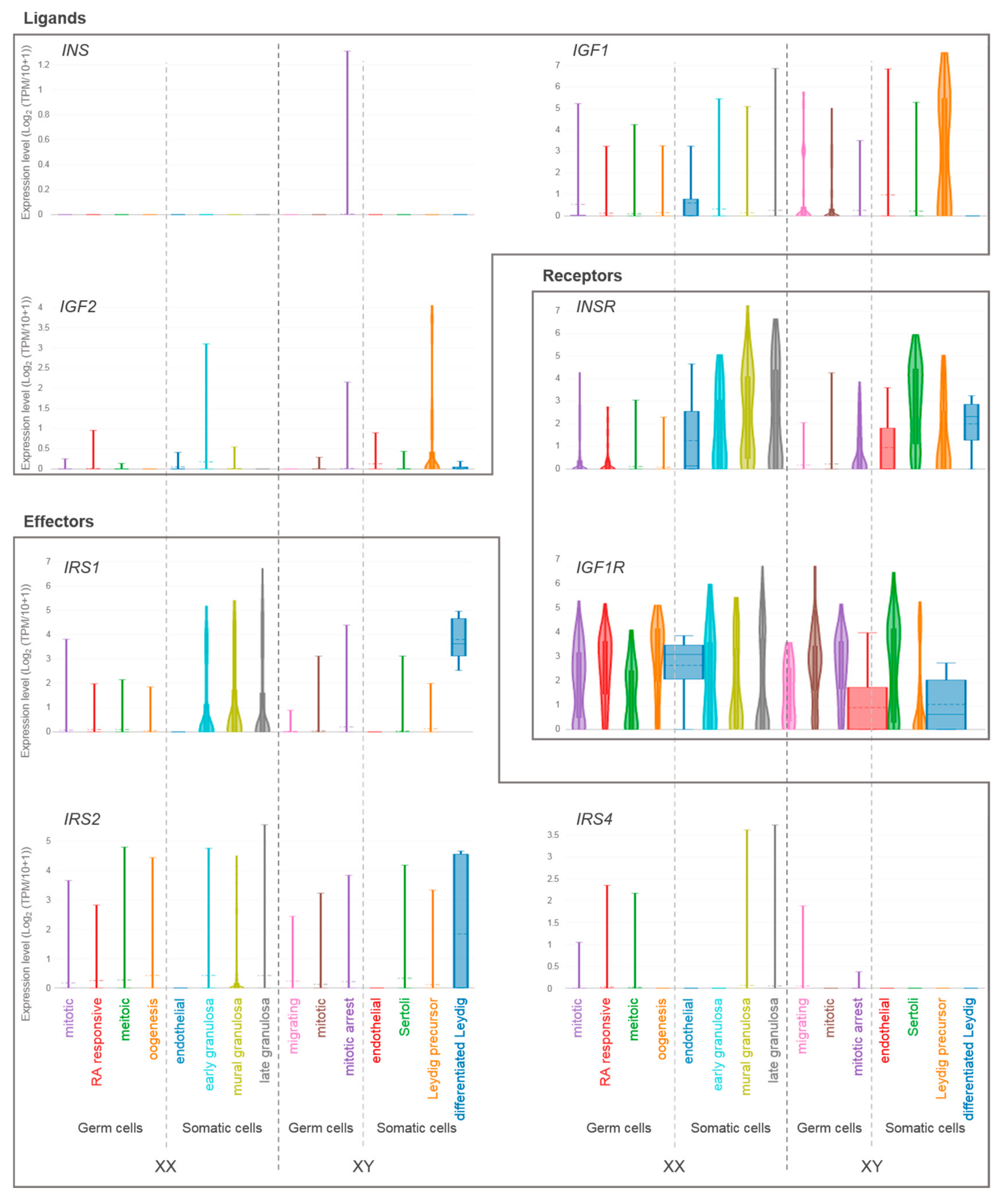 Ijms 20 04440 g003 Ijms 20 04440 g003
