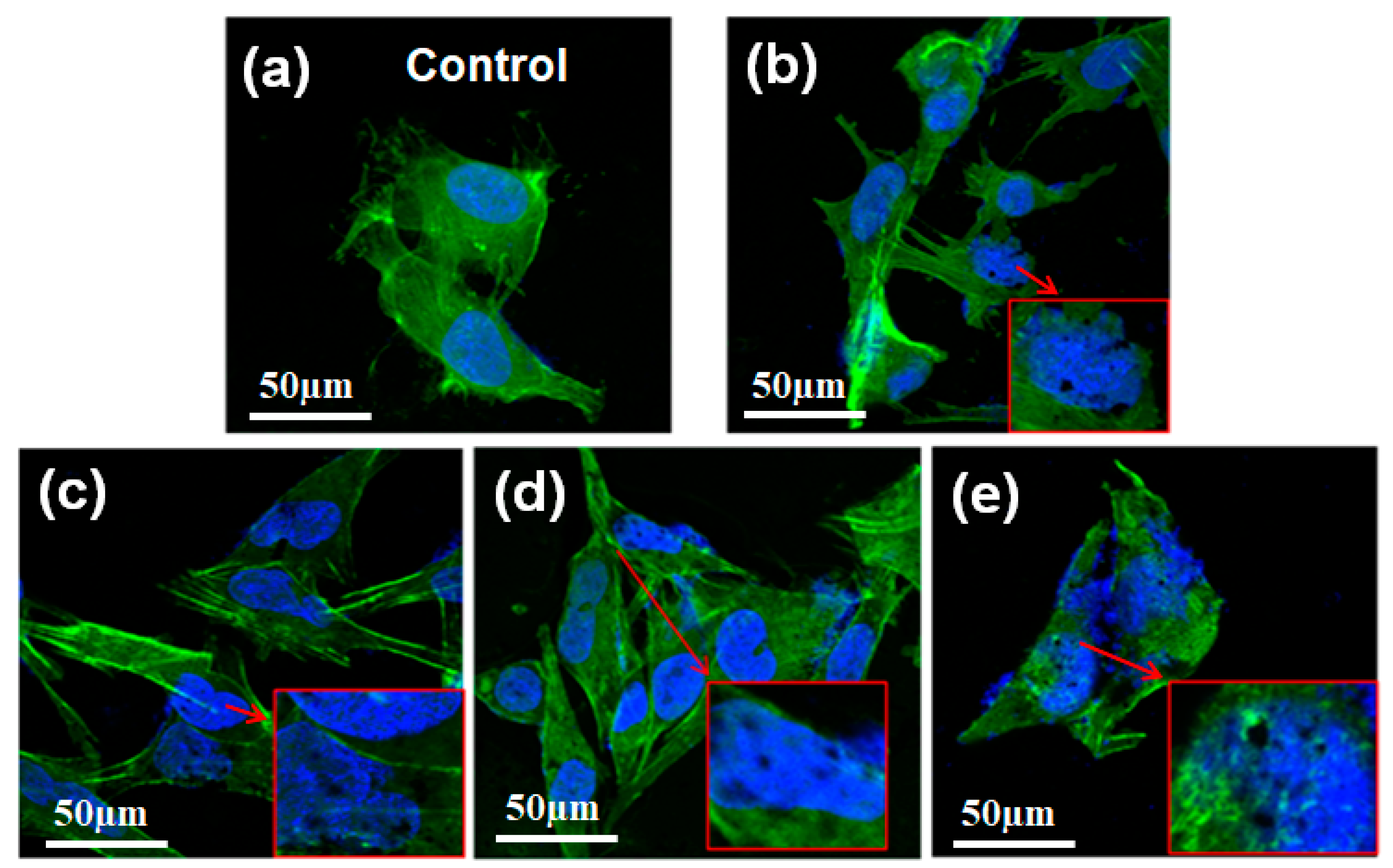 Ijms 20 04454 g003 550