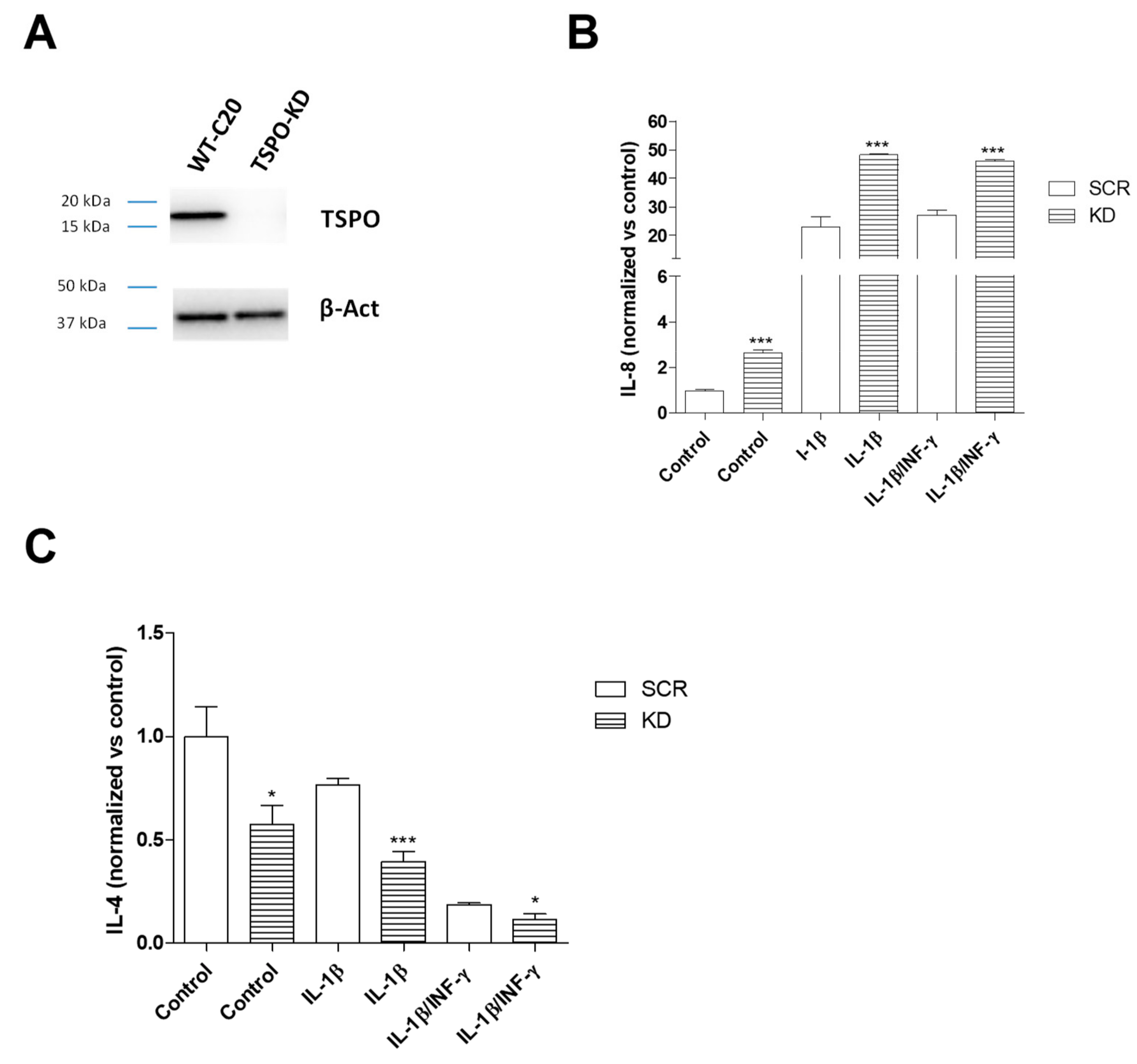 Ijms 20 04467 g005 Ijms 20 04467 g005