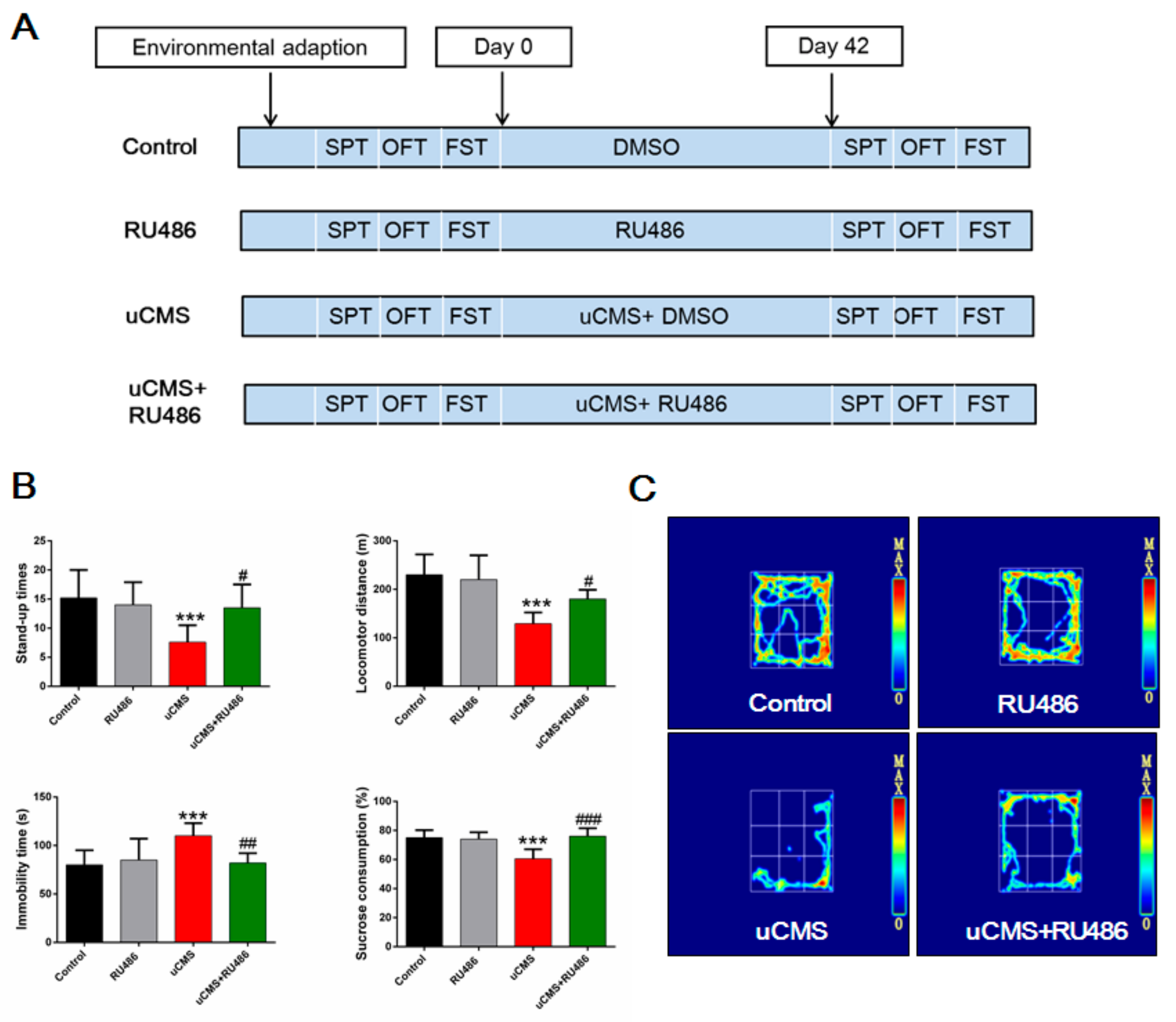 Ijms 20 04470 g001 Ijms 20 04470 g001