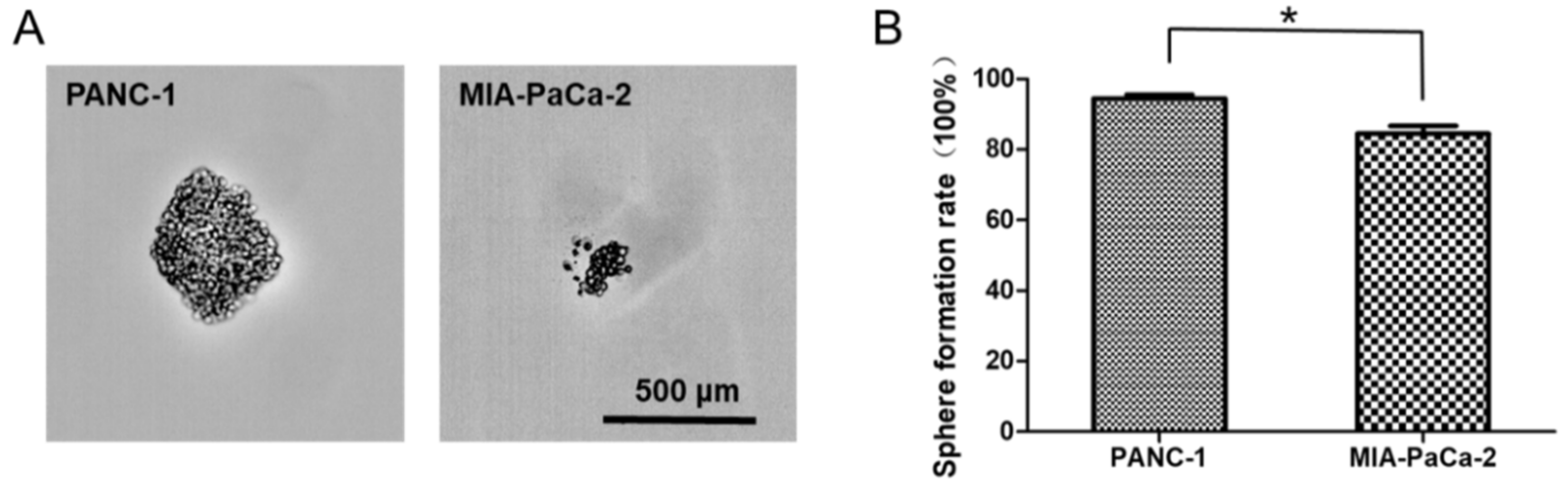 Ijms 20 04473 g005