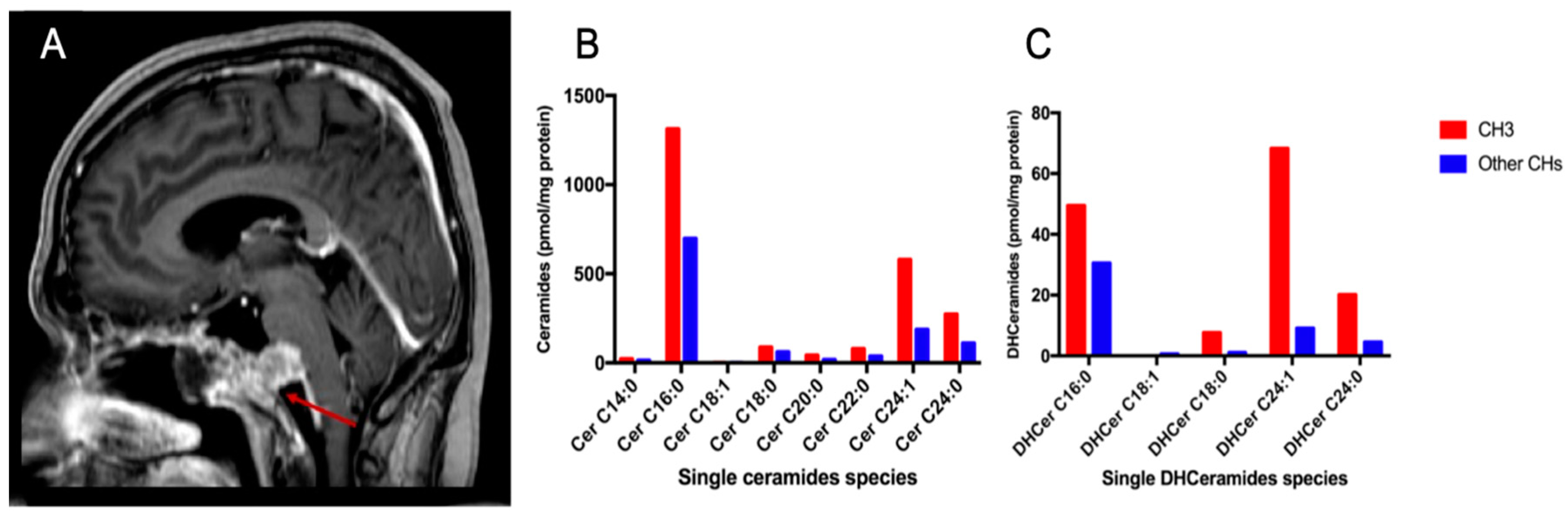 Ijms 20 04480 g008 Ijms 20 04480 g008