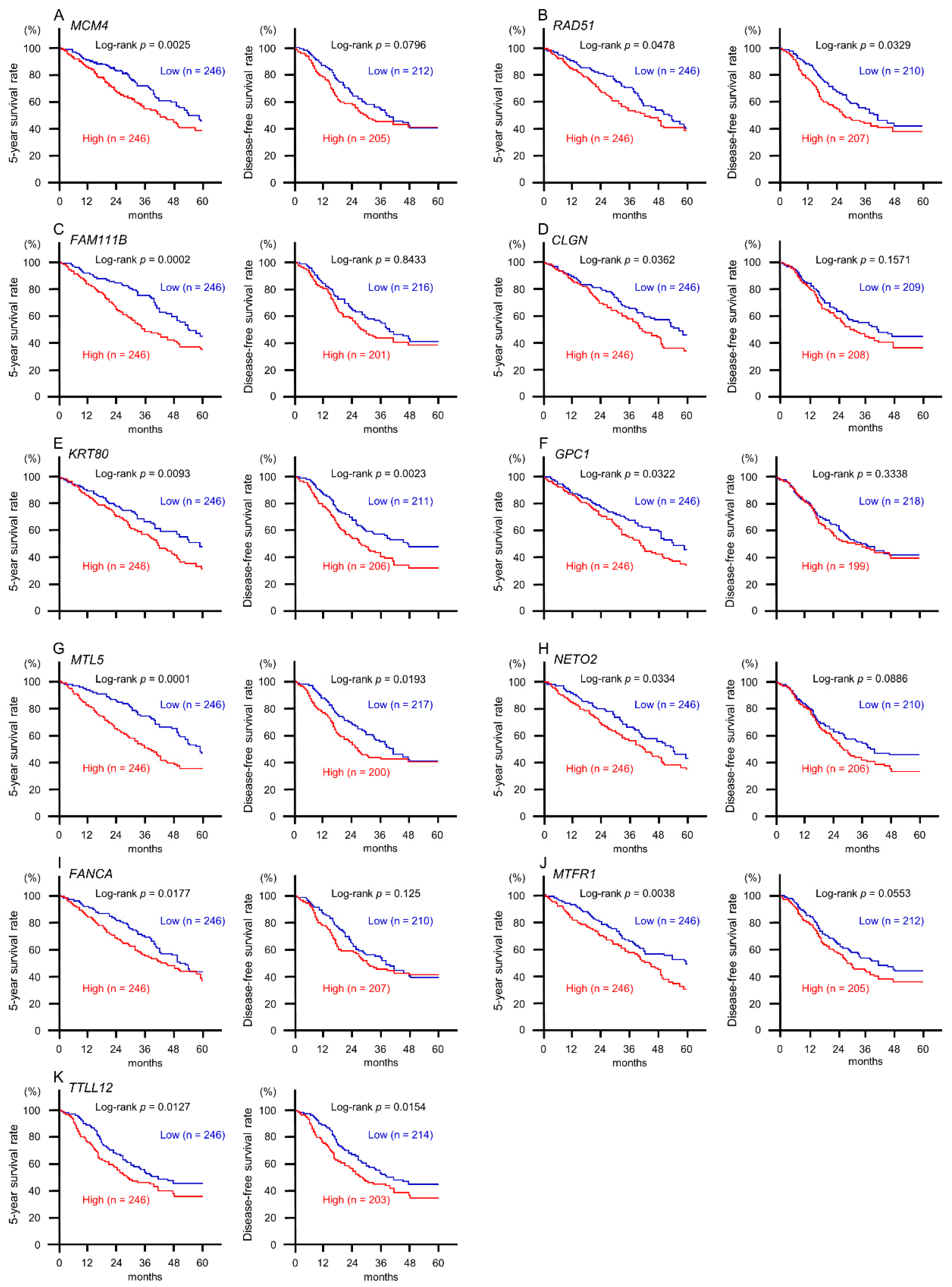 Ijms 20 04482 g004 Ijms 20 04482 g004