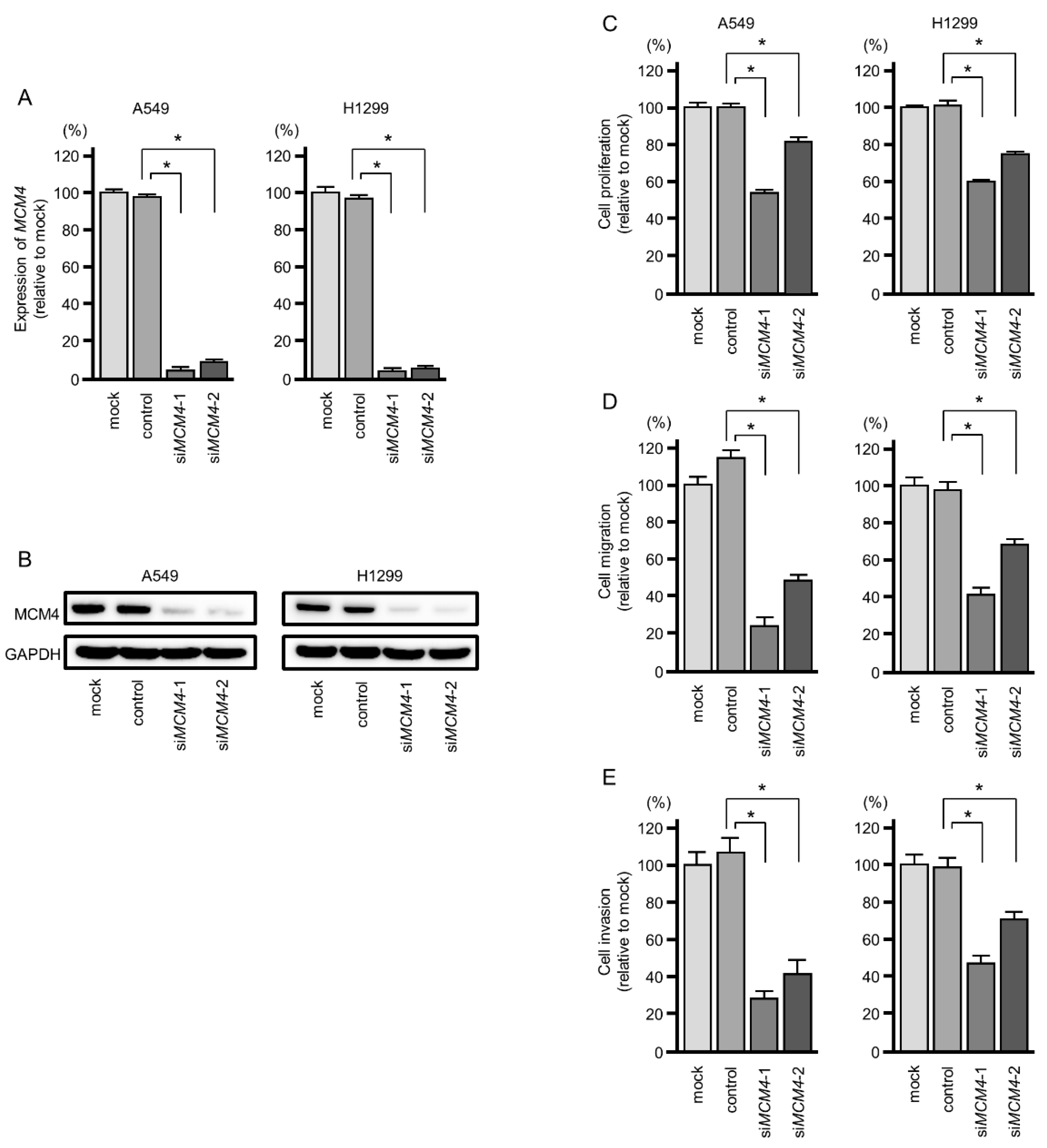 Ijms 20 04482 g008 Ijms 20 04482 g008