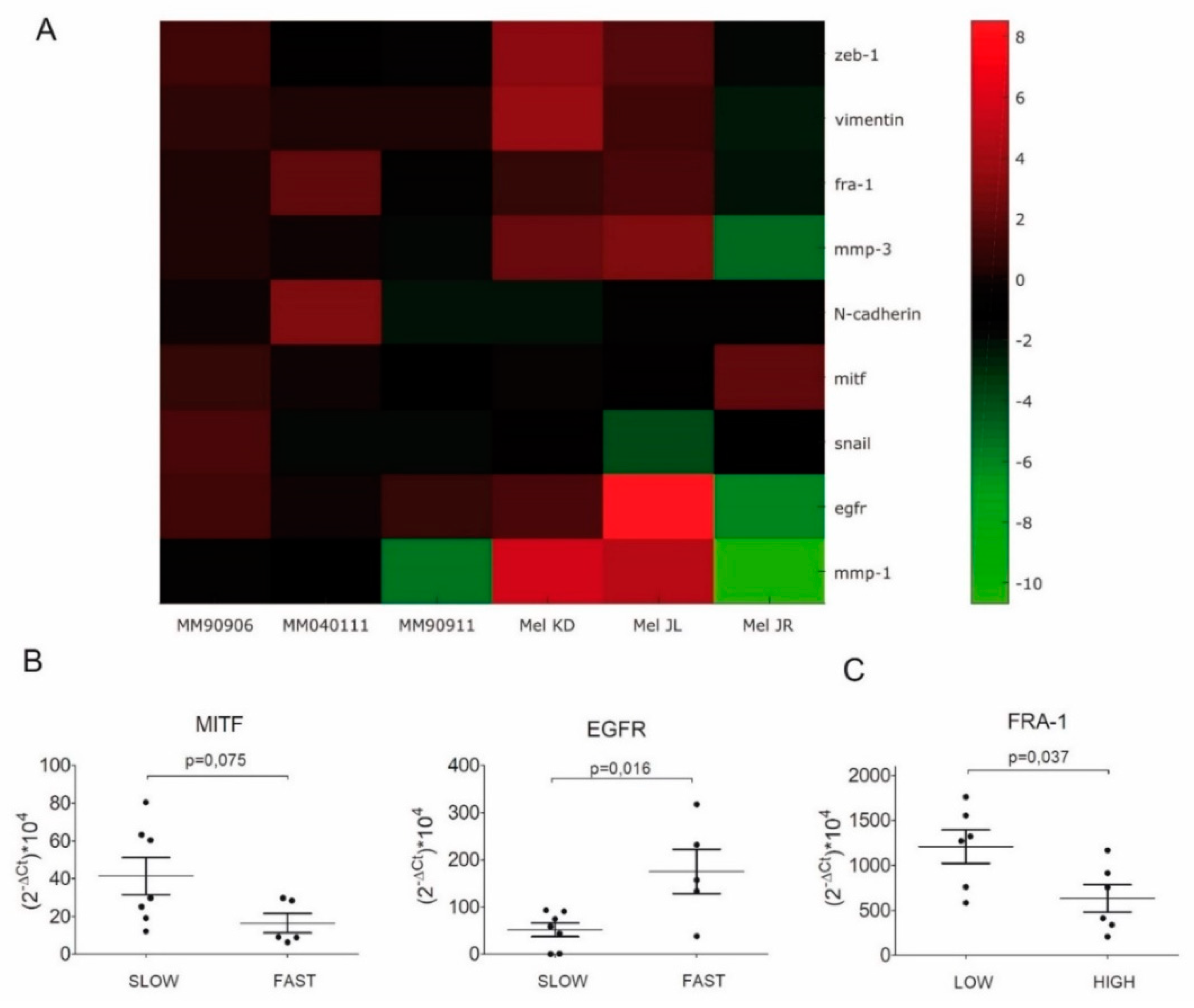 Ijms 20 04484 g002 Ijms 20 04484 g002
