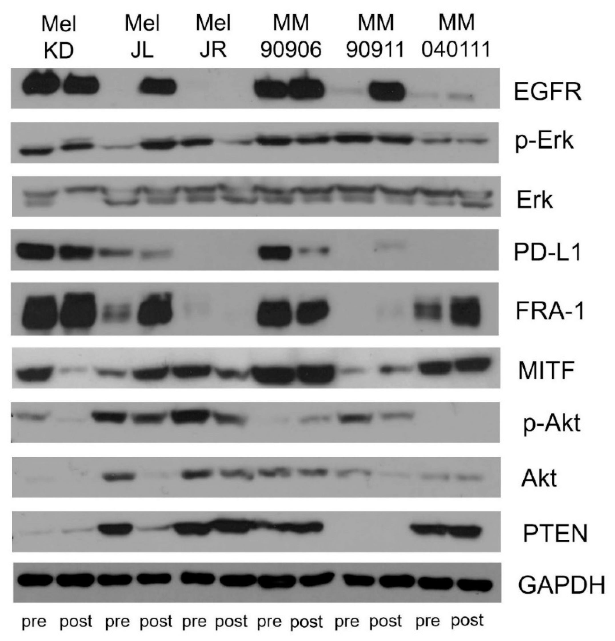 Ijms 20 04484 g003 Ijms 20 04484 g003