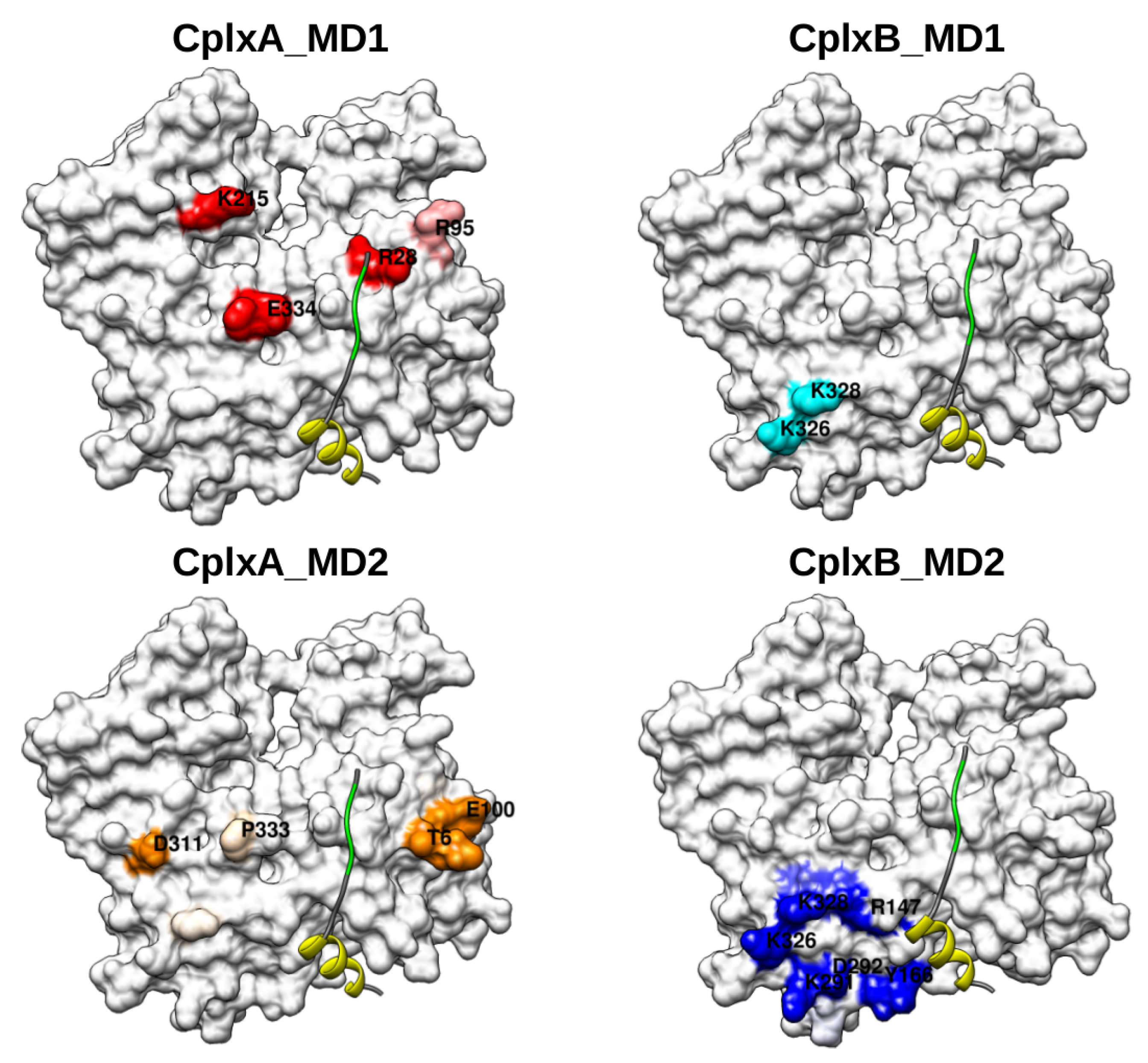 Ijms 20 04493 g008