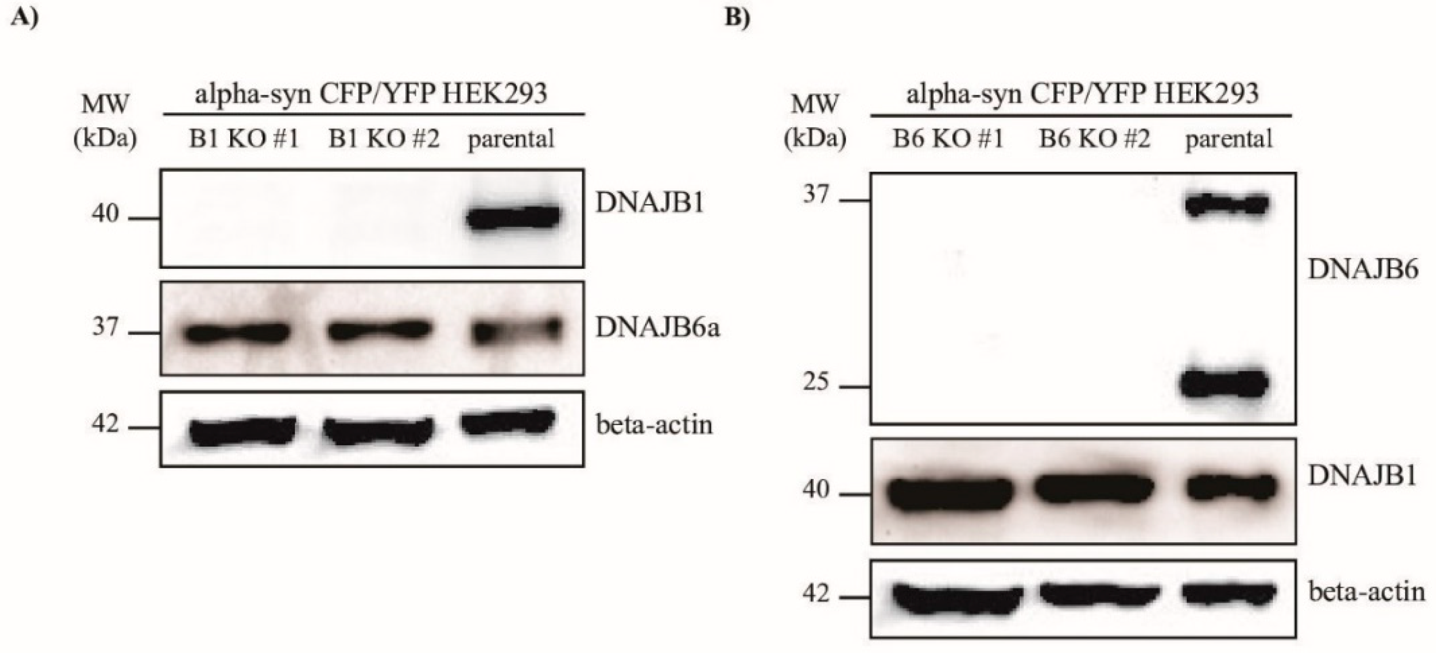 Ijms 20 04495 g001