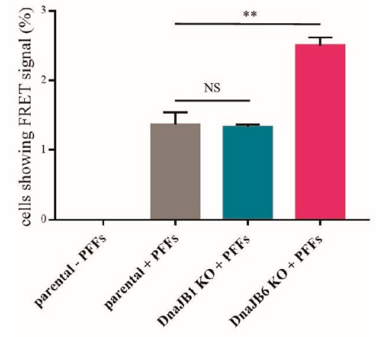 molecular chaperone hub molecular chaperone hub