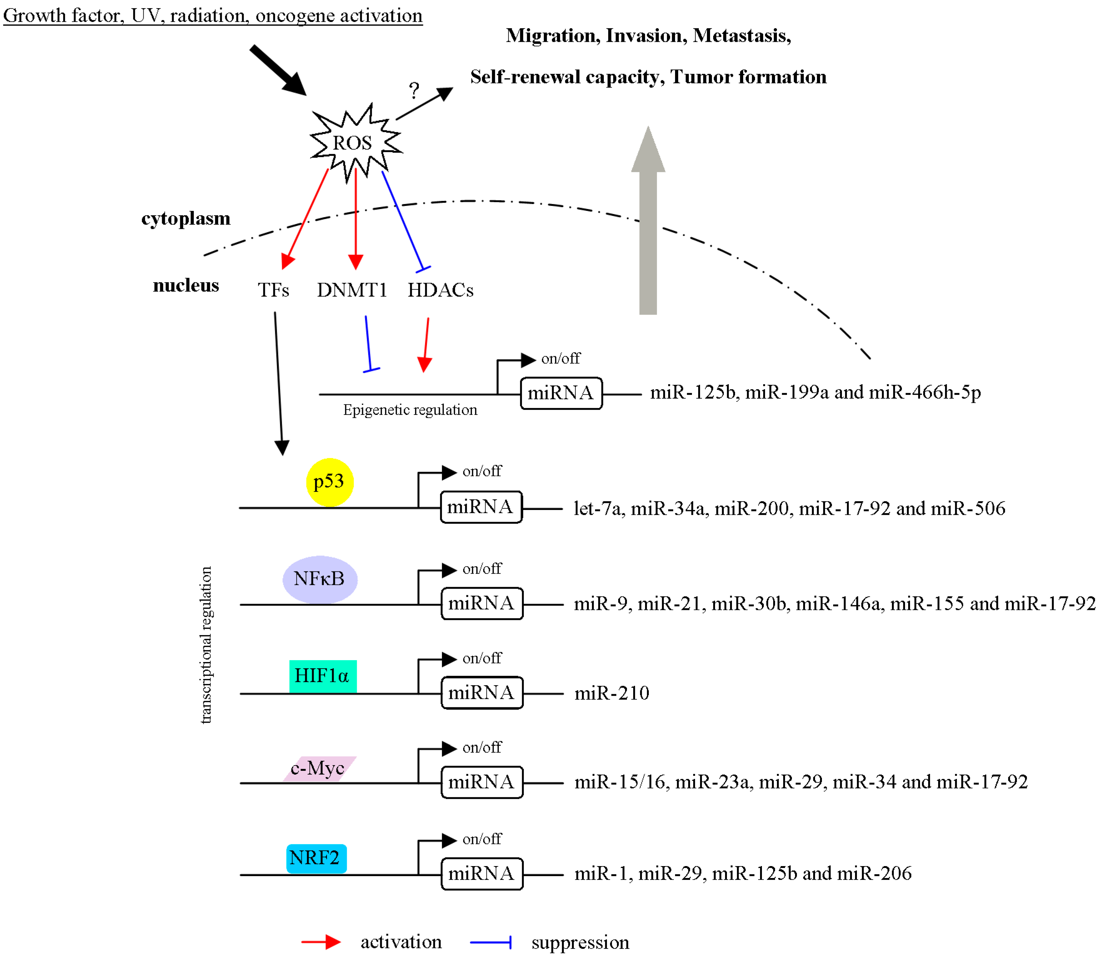 Ijms 20 04497 g003