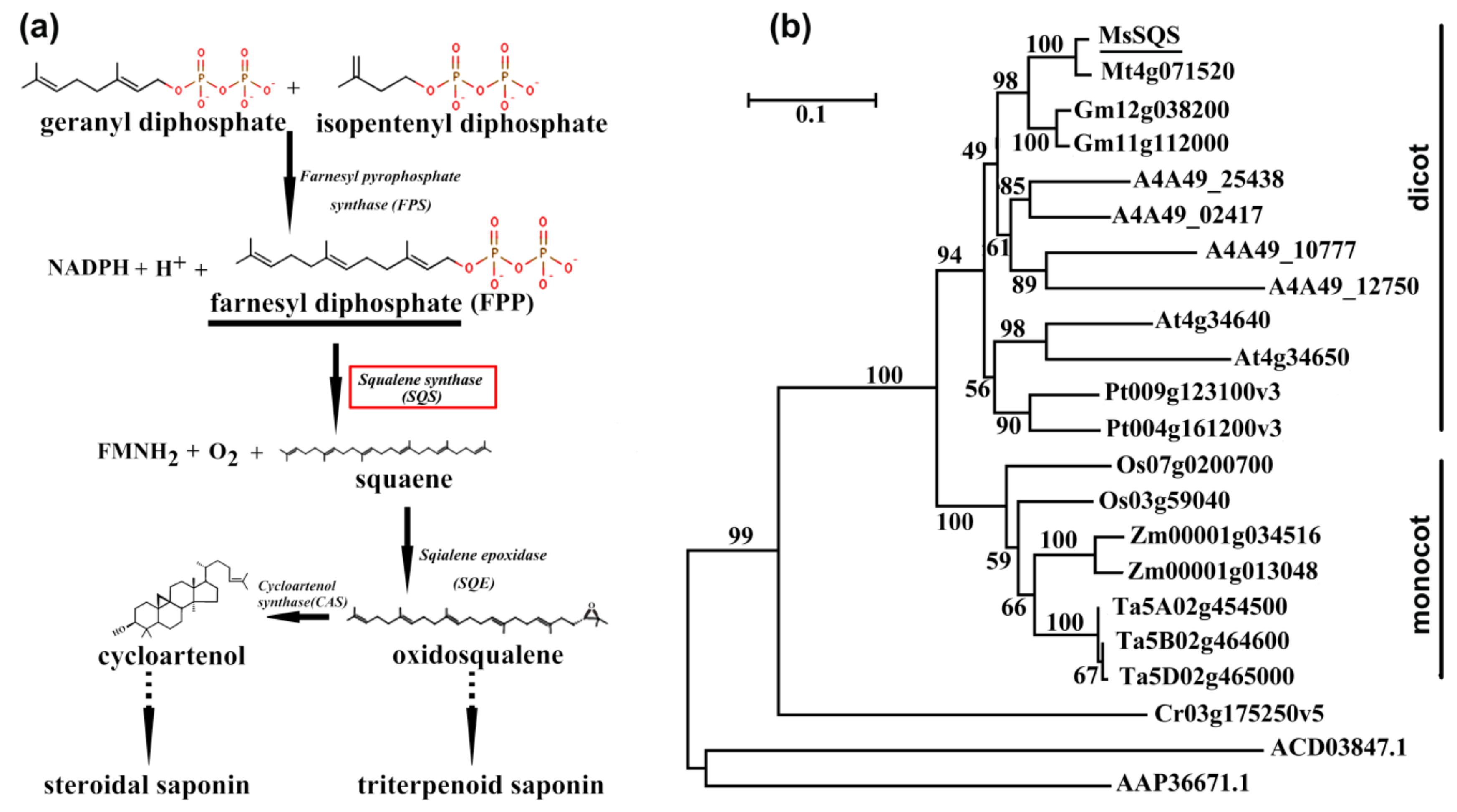Ijms 20 04499 g001 Ijms 20 04499 g001