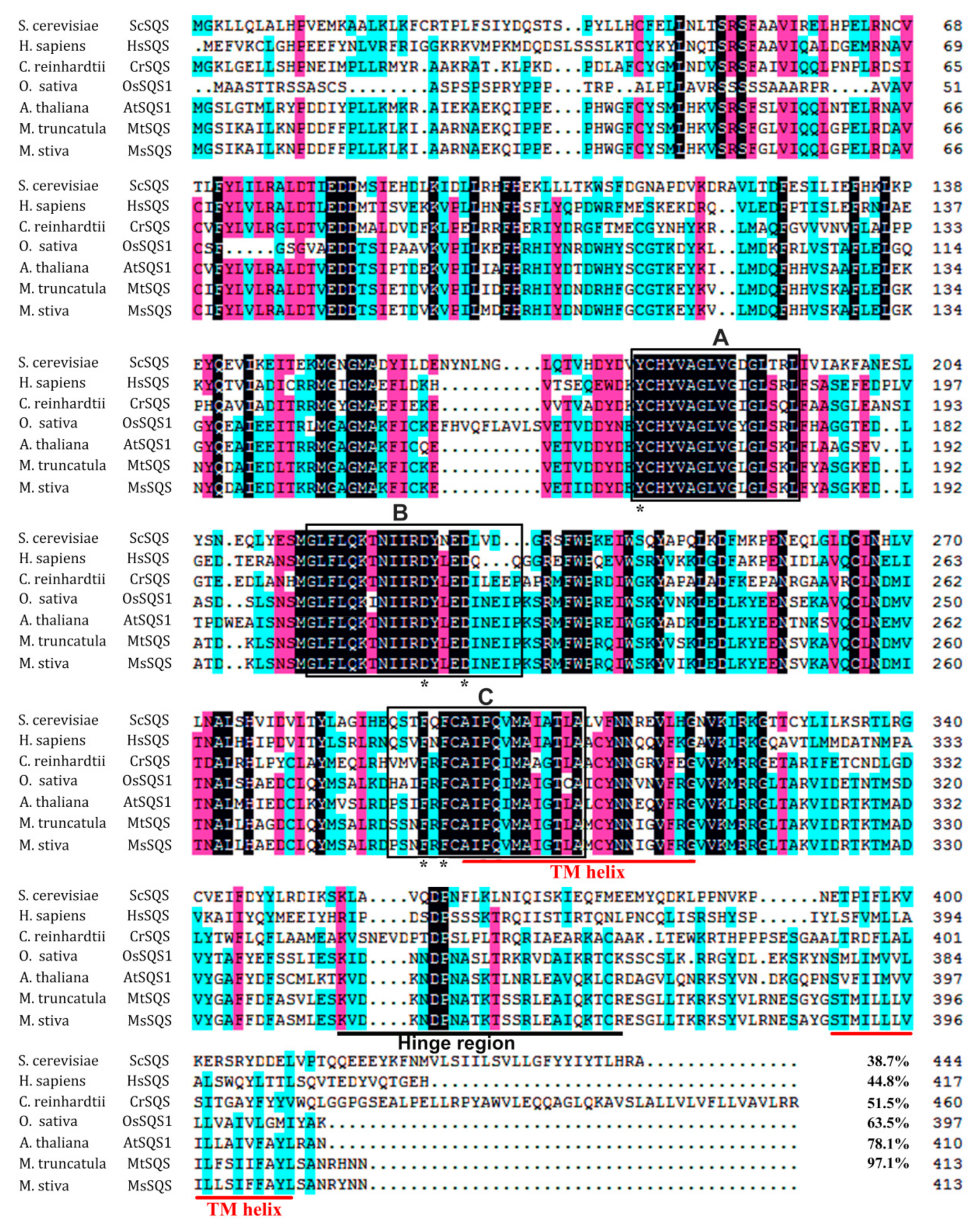 Ijms 20 04499 g002 Ijms 20 04499 g002
