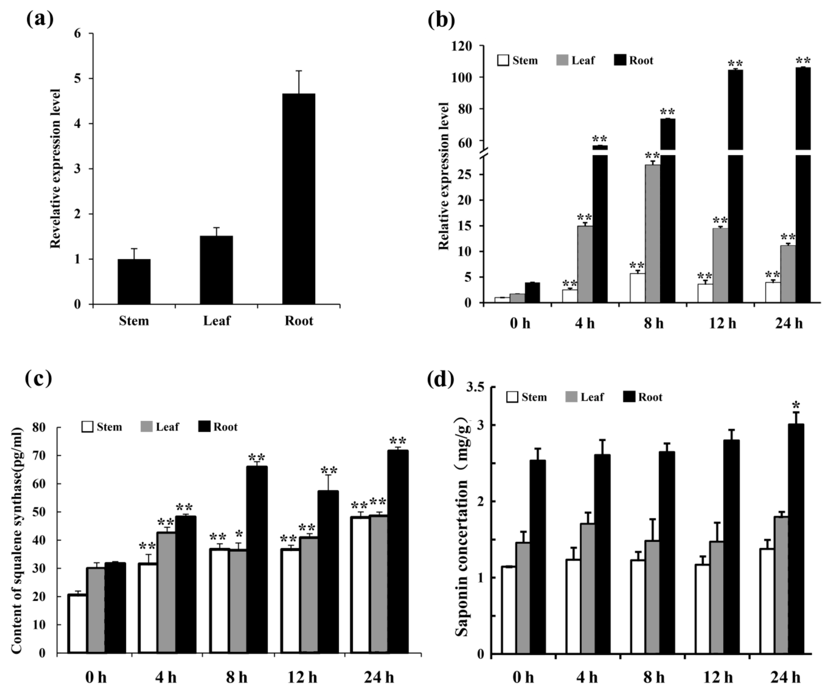 Ijms 20 04499 g006 Ijms 20 04499 g006