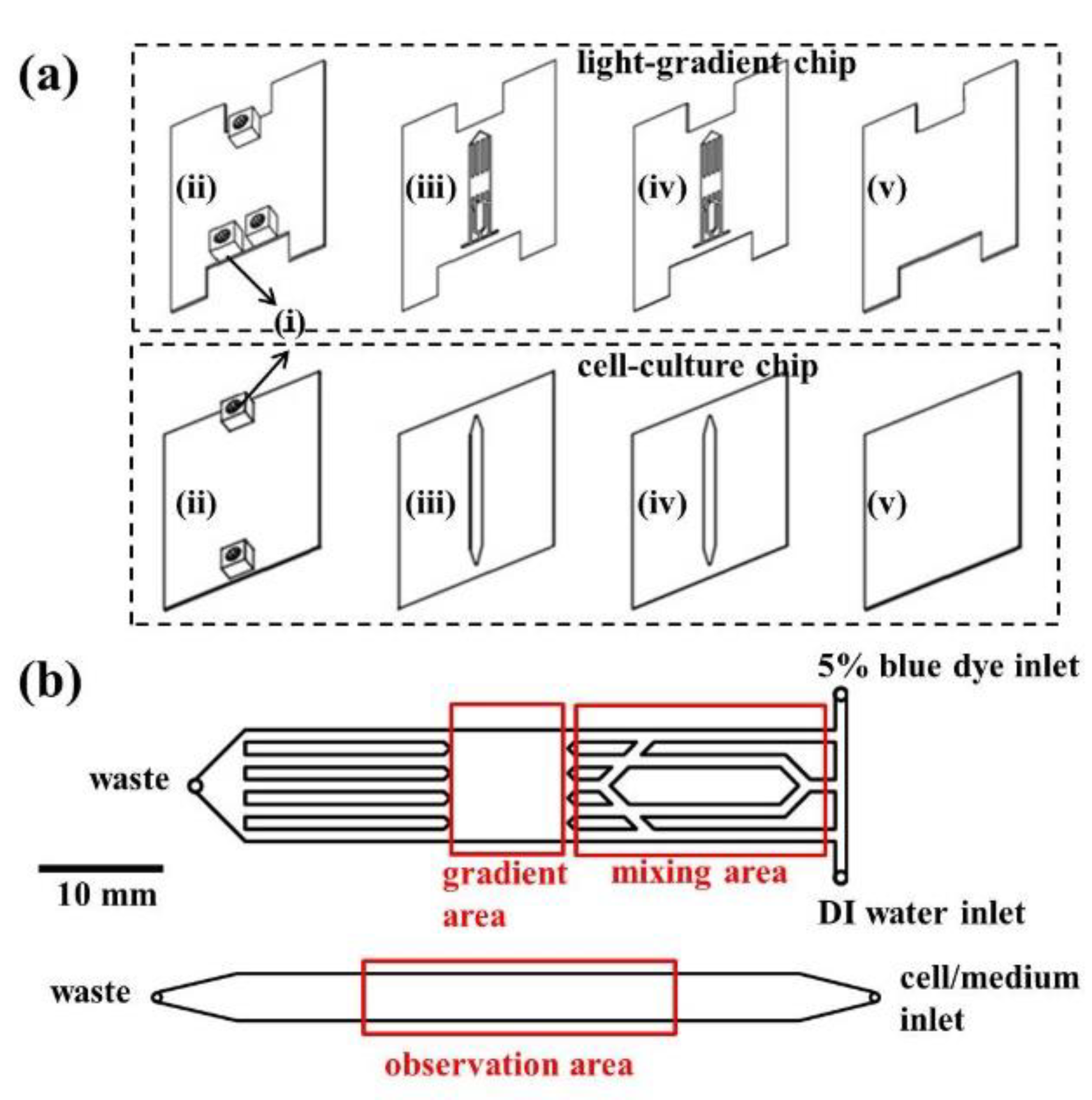 Ijms 20 04515 g007