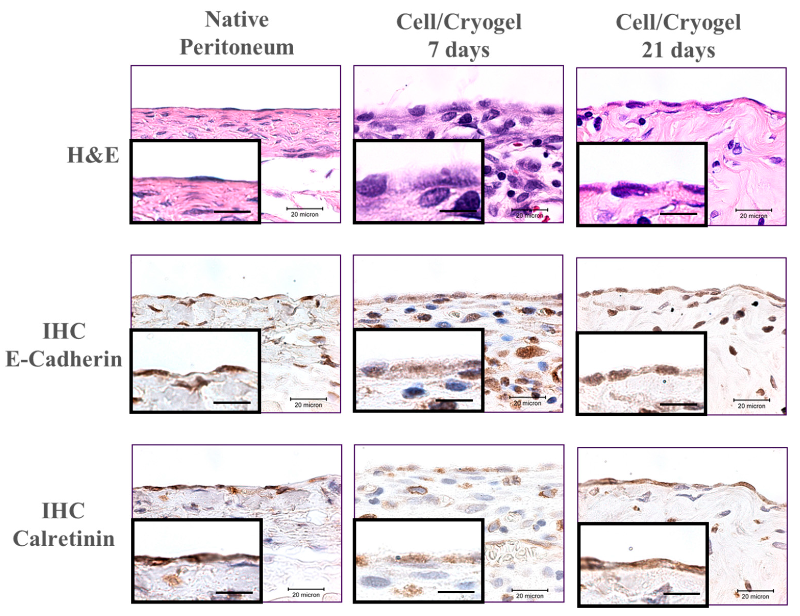 Ijms 20 04527 g009 Ijms 20 04527 g009