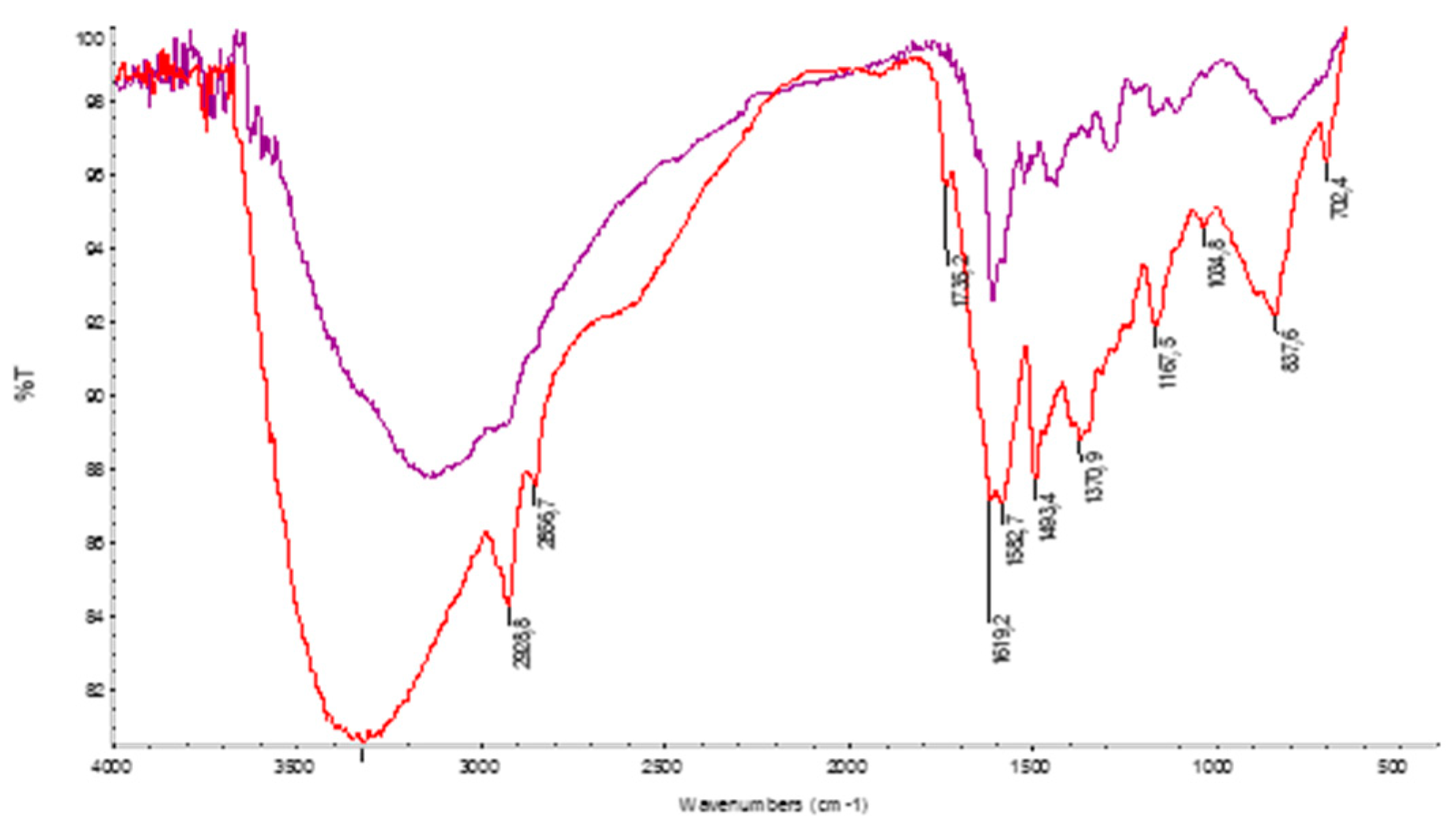 Ijms 20 04532 g005 Ijms 20 04532 g005