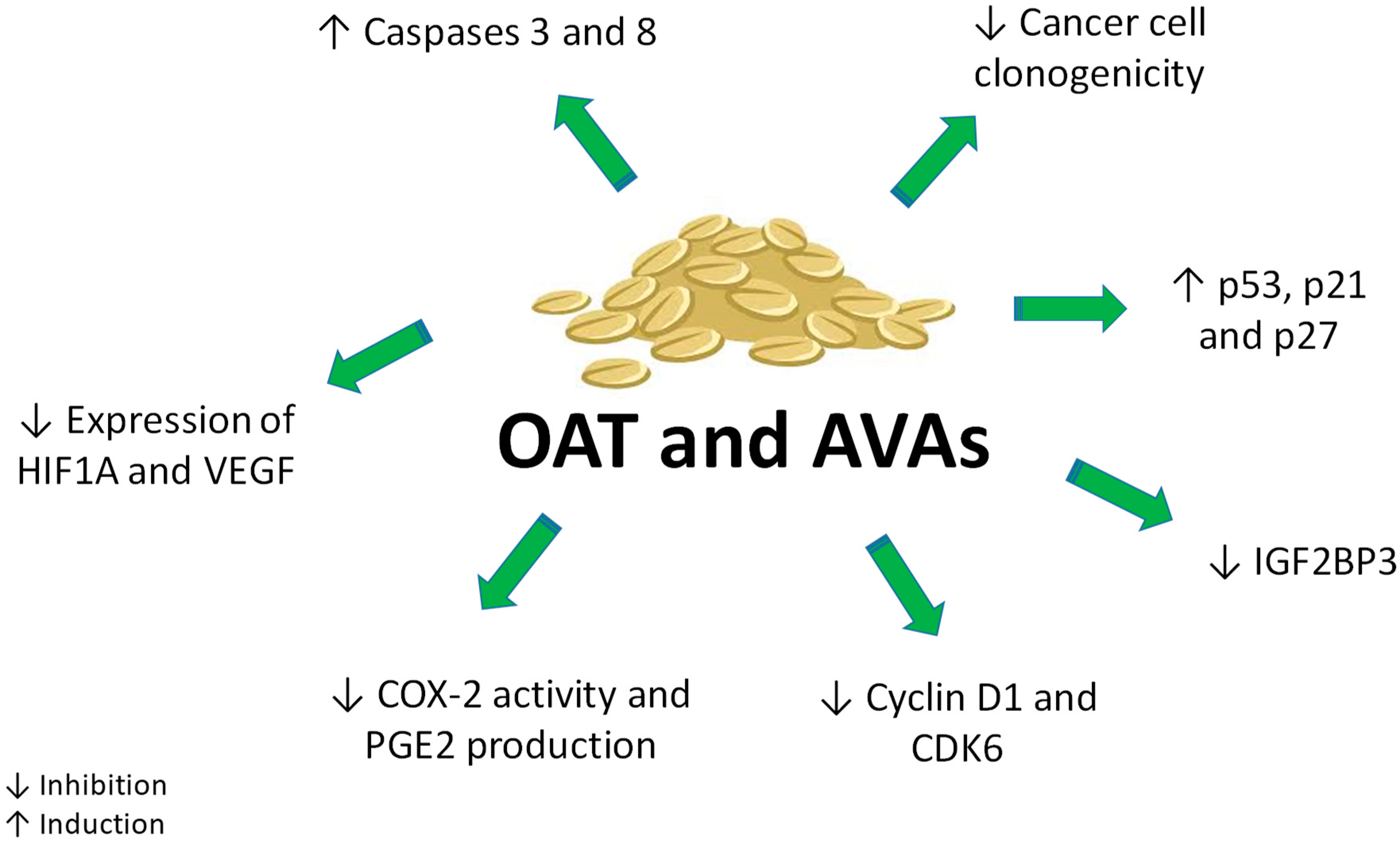 Ijms 20 04536 g005 Ijms 20 04536 g005