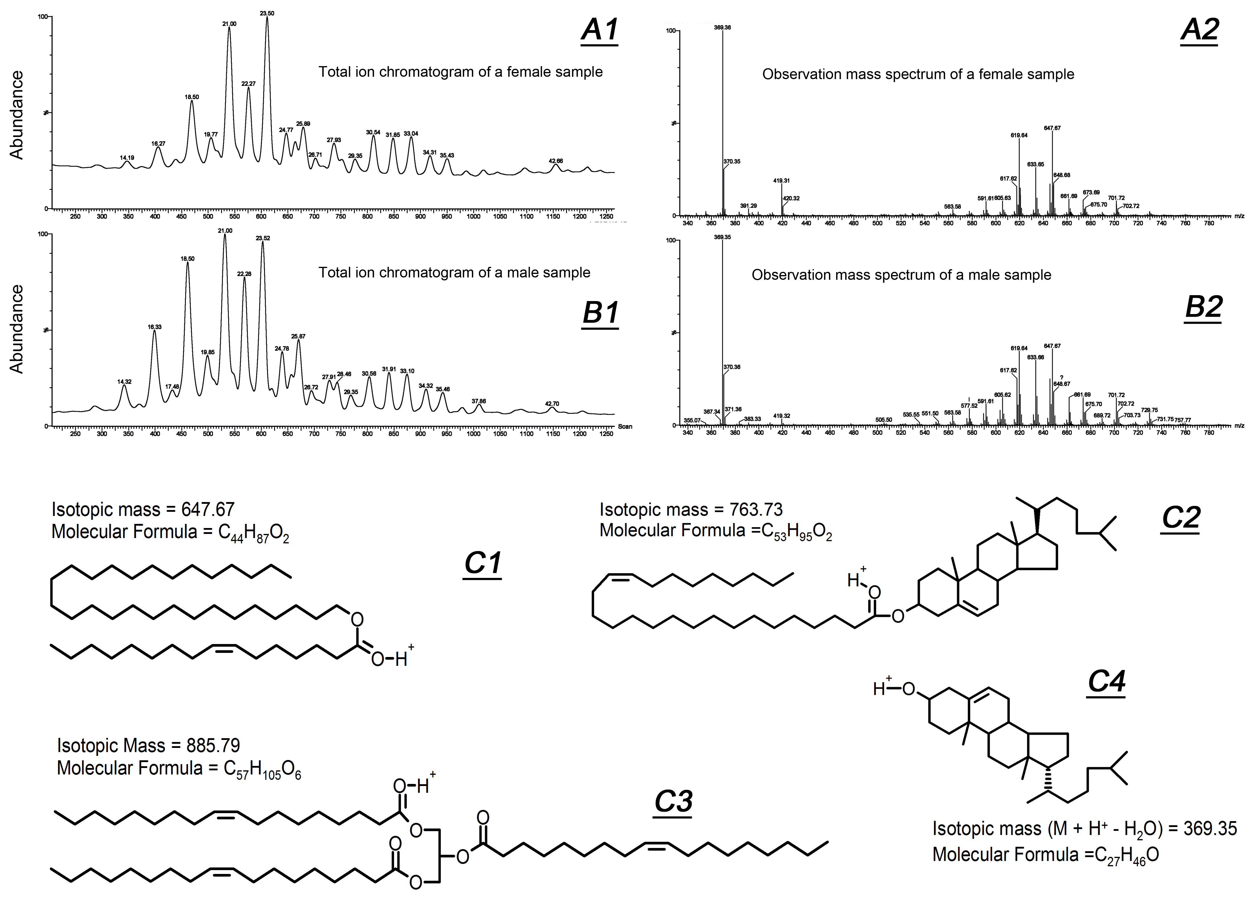 Ijms 20 04539 g002 Ijms 20 04539 g002