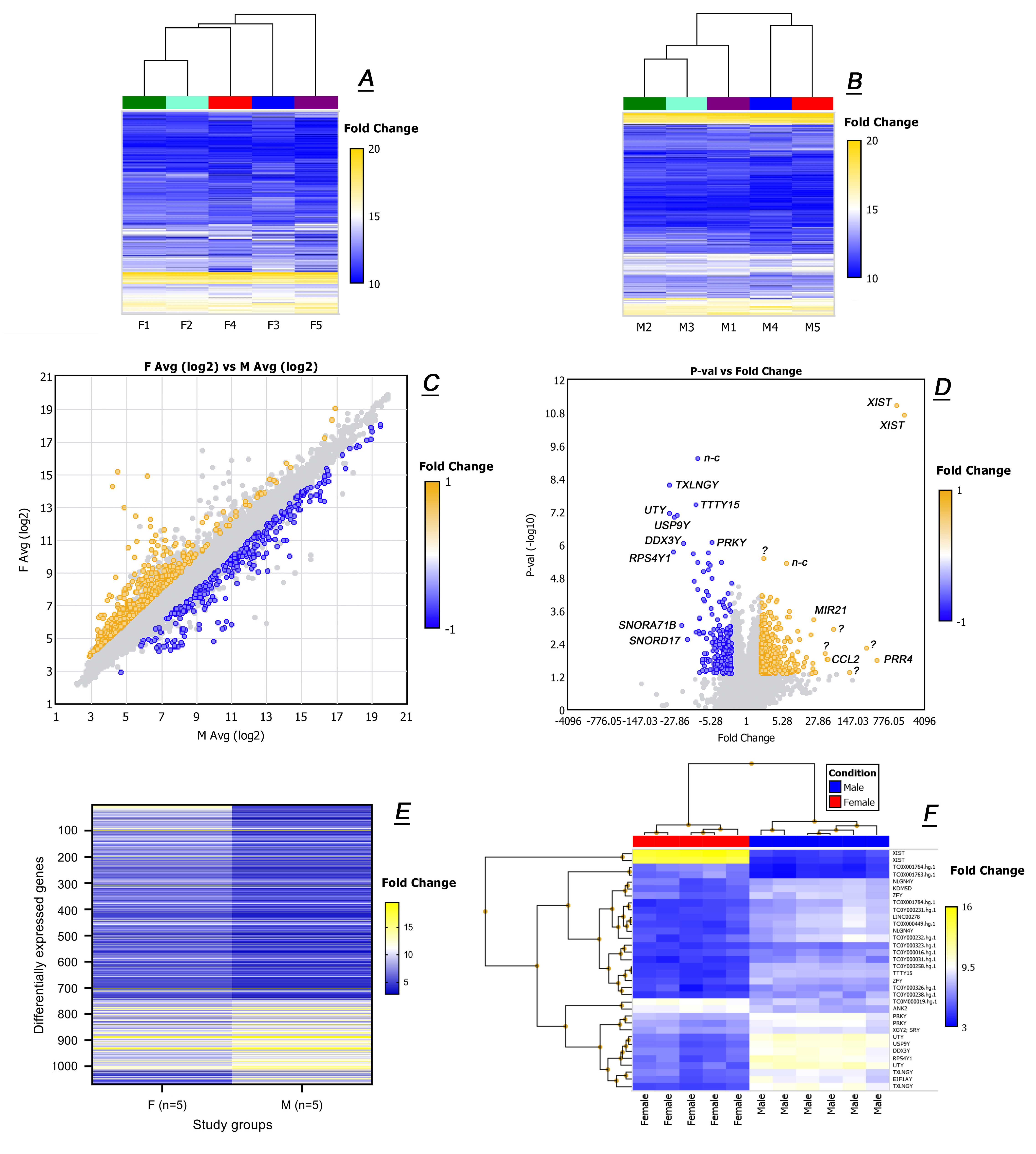 Ijms 20 04539 g005 Ijms 20 04539 g005