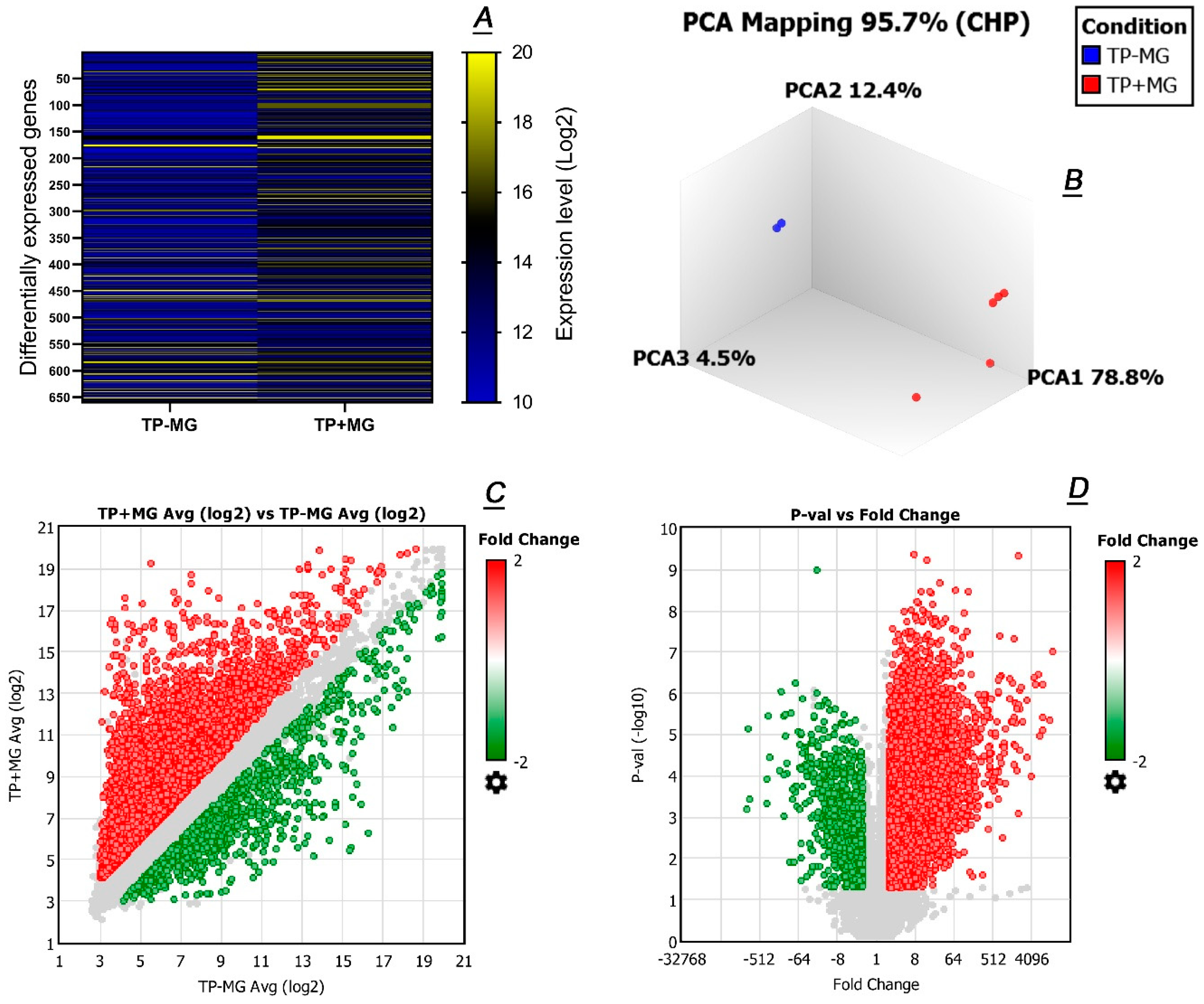Ijms 20 04539 g006 Ijms 20 04539 g006