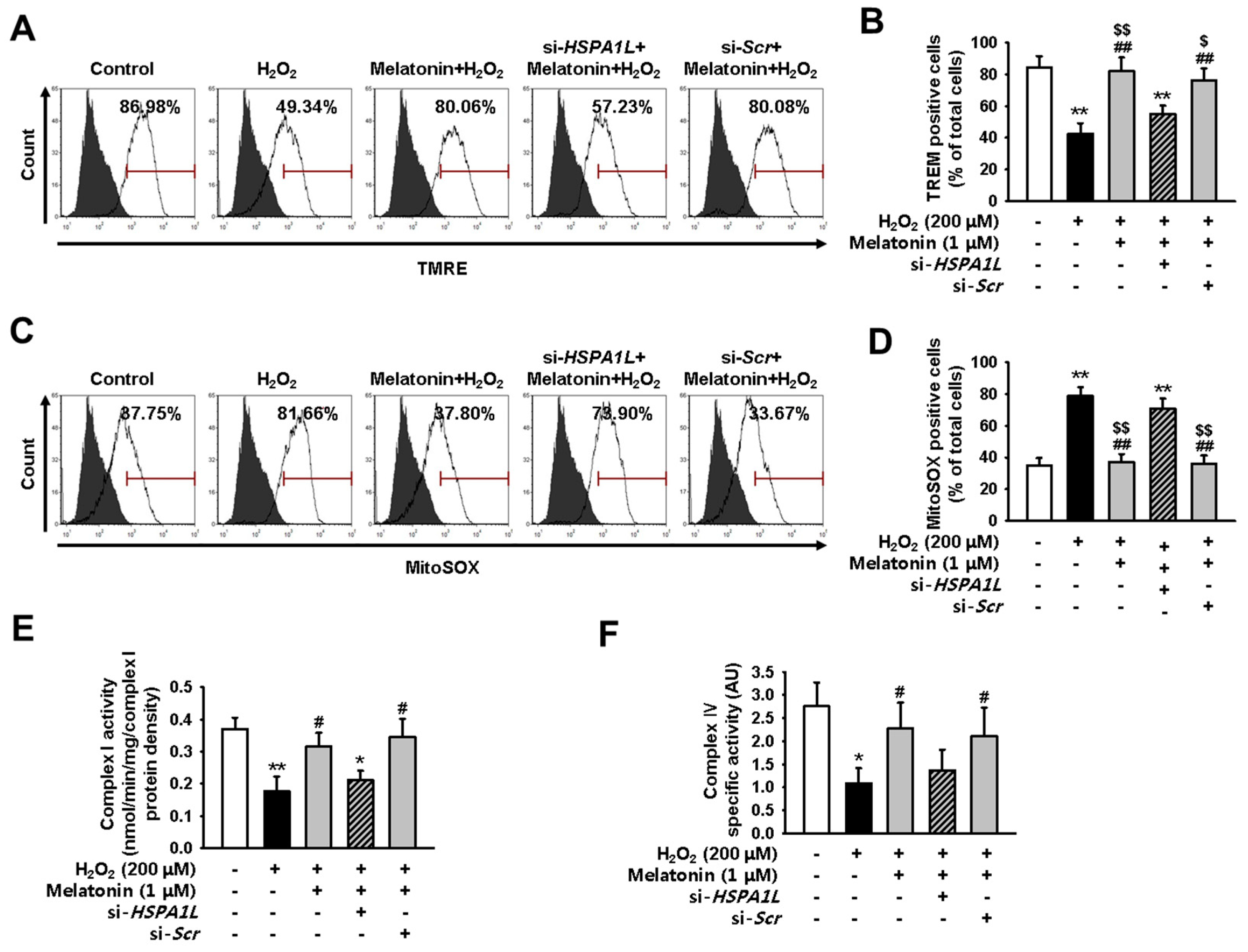 Ijms 20 04545 g005 Ijms 20 04545 g005
