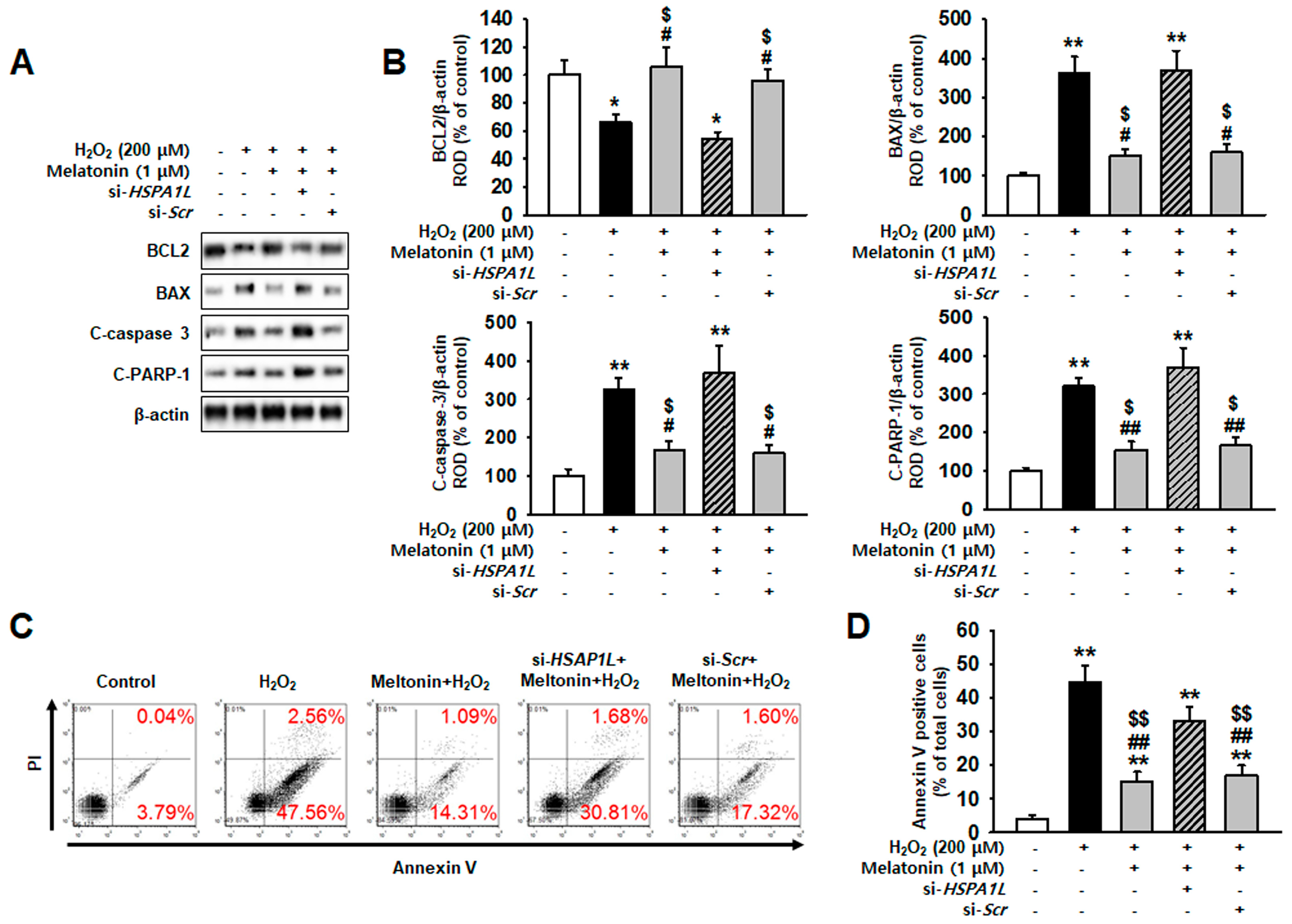 Ijms 20 04545 g006 Ijms 20 04545 g006