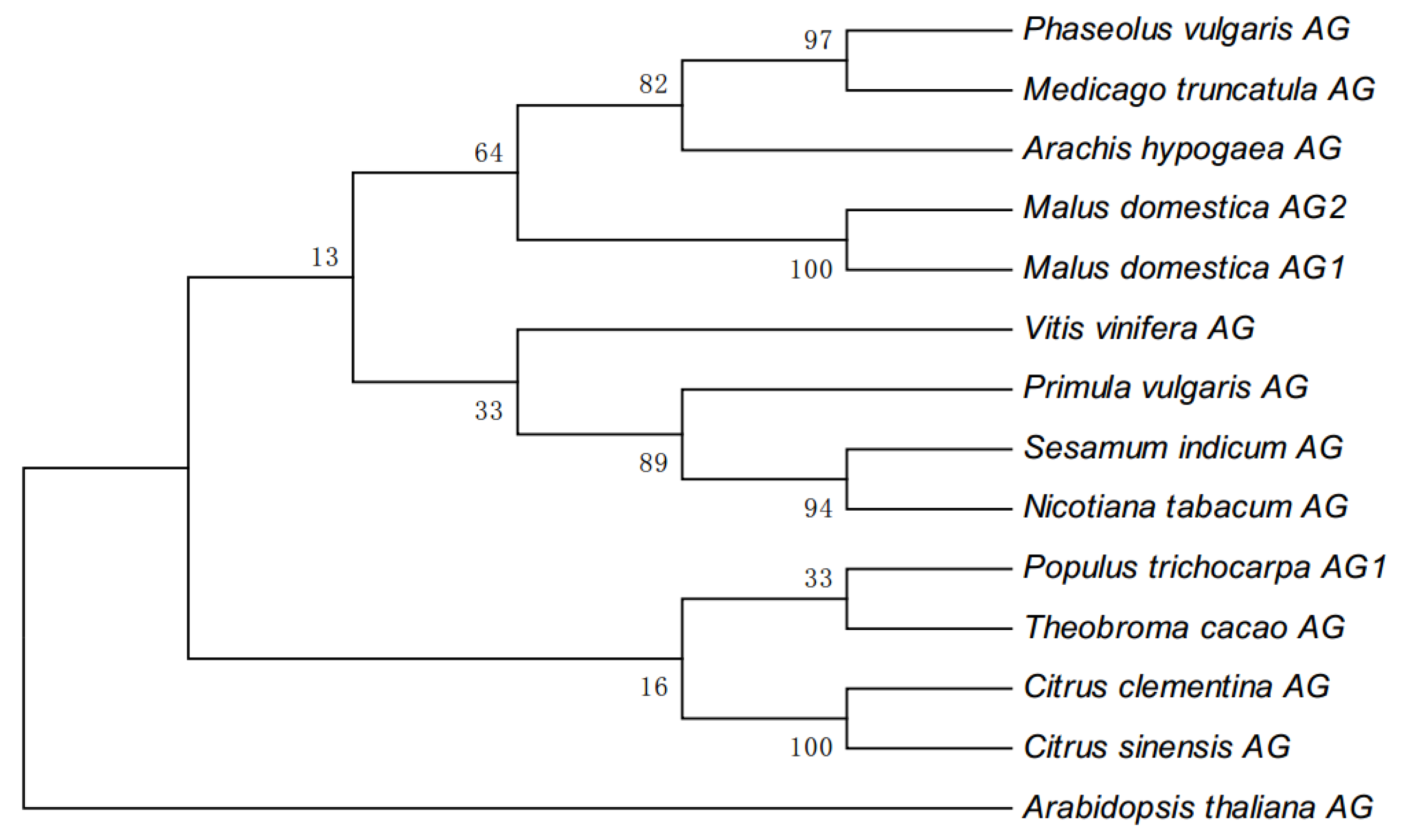 Ijms 20 04551 g001 Ijms 20 04551 g001