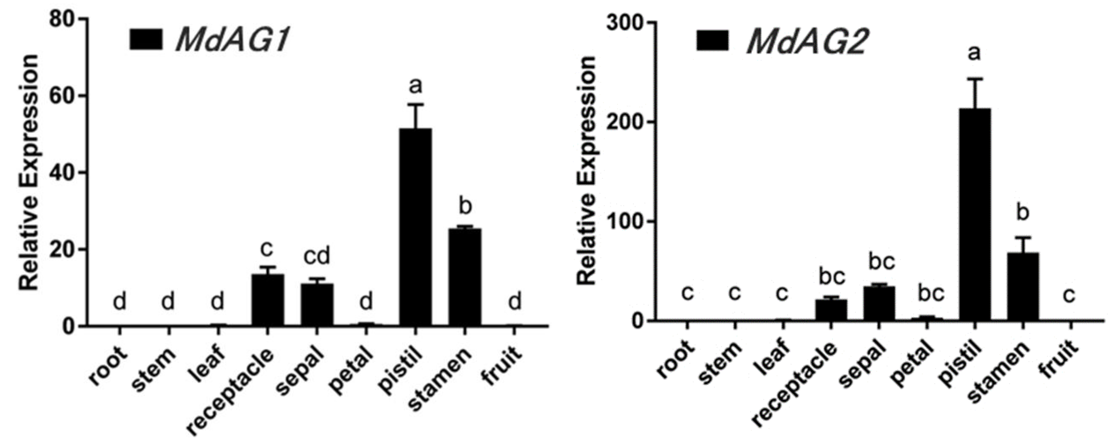 Ijms 20 04551 g002 Ijms 20 04551 g002