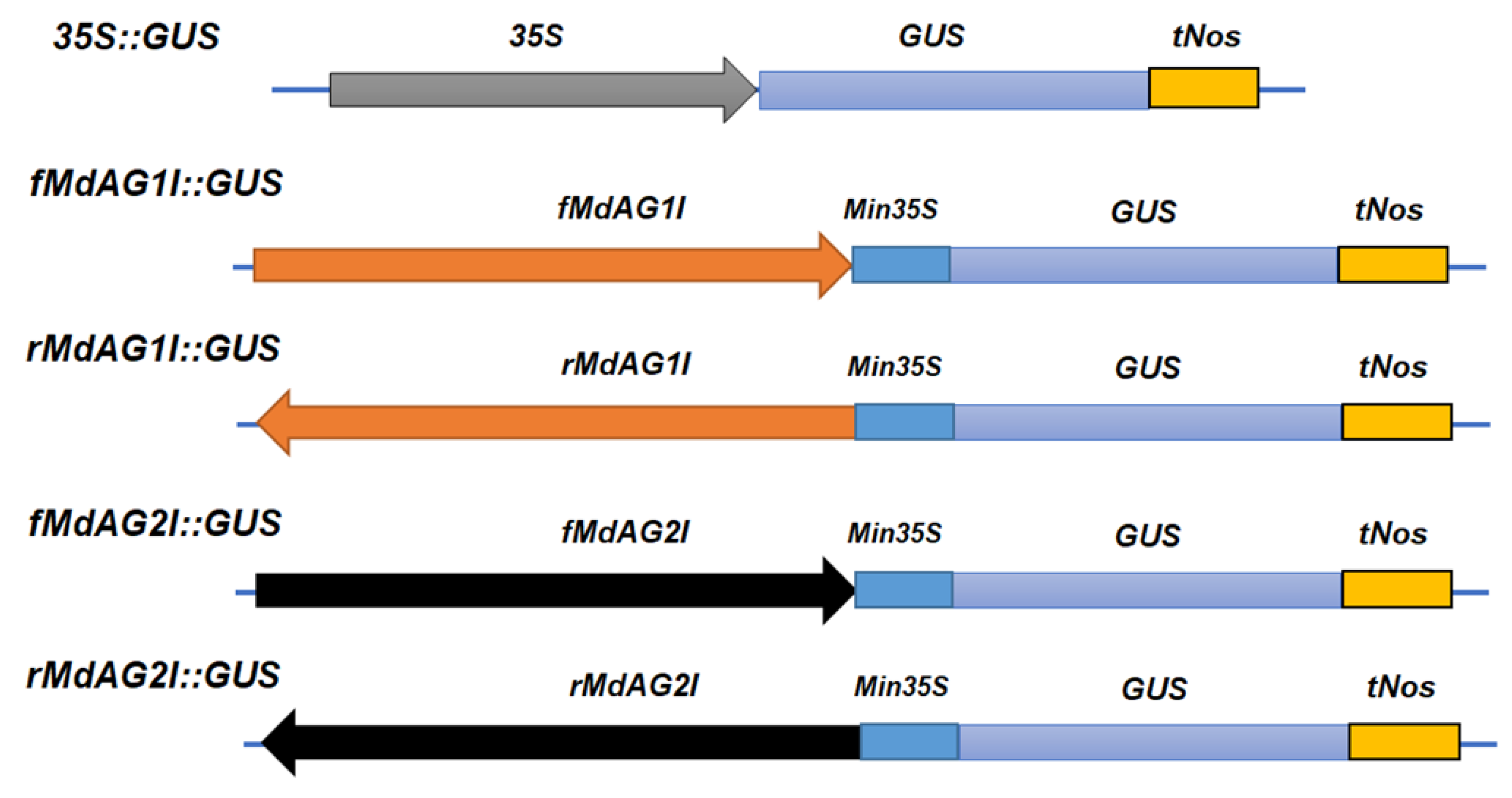 Ijms 20 04551 g004 Ijms 20 04551 g004