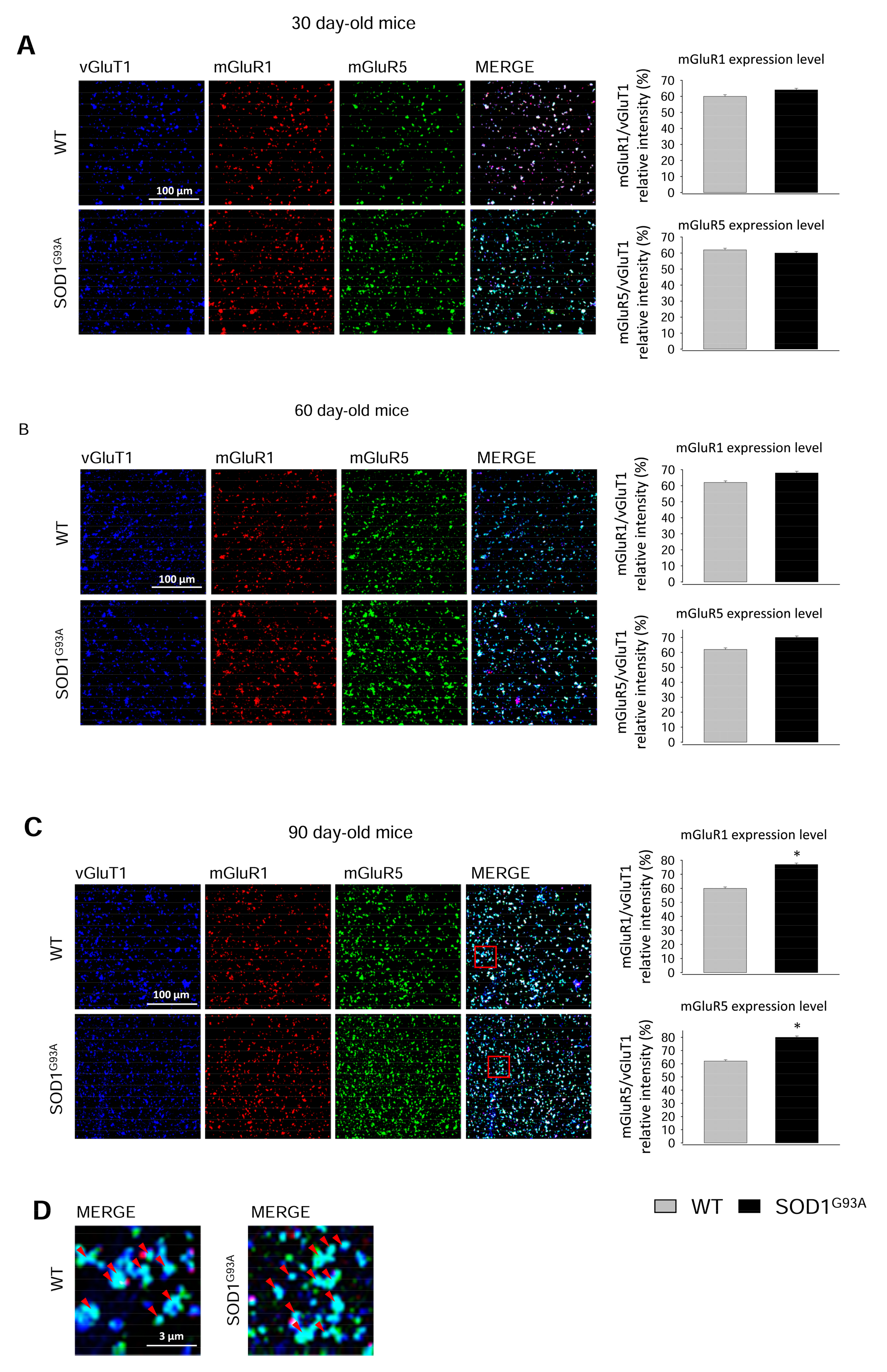 Ijms 20 04552 g004 Ijms 20 04552 g004