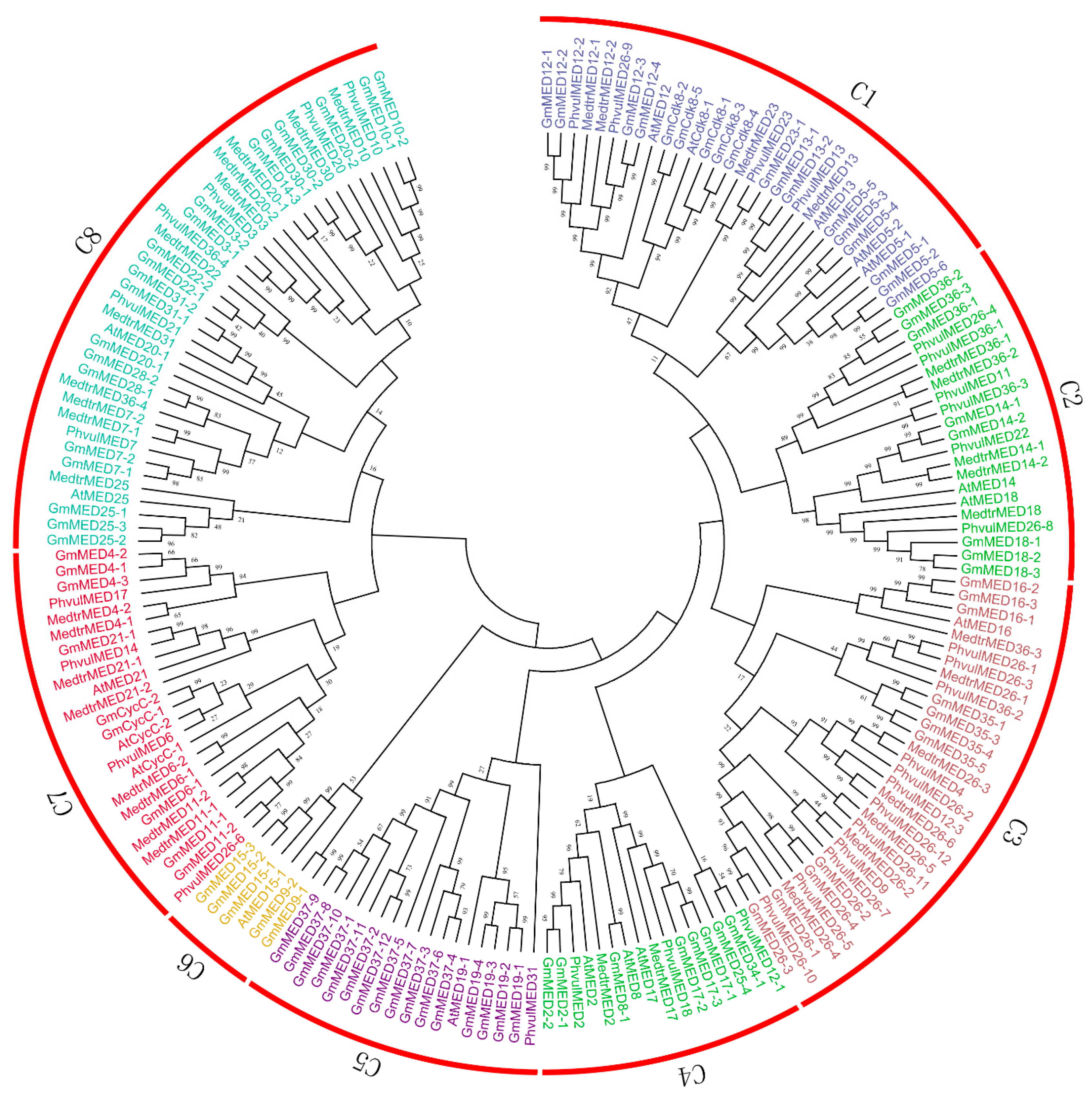 Ijms 20 04570 g002 Ijms 20 04570 g002