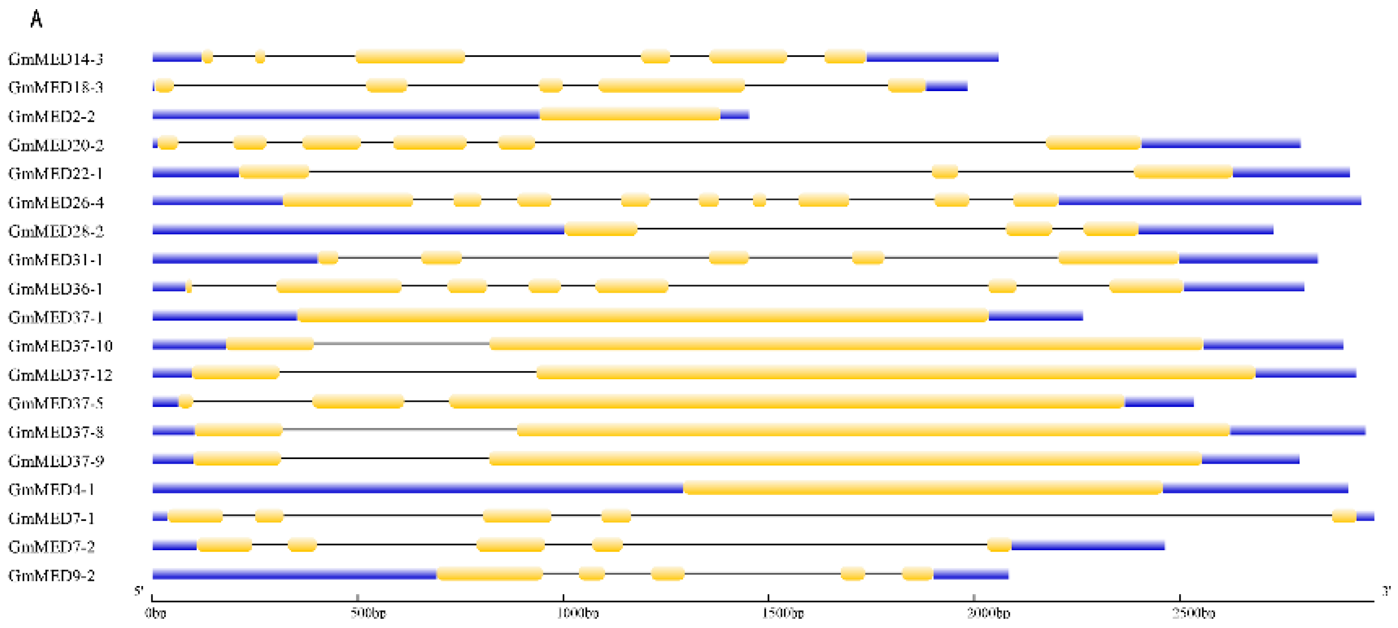 Ijms 20 04570 g003a Ijms 20 04570 g003a