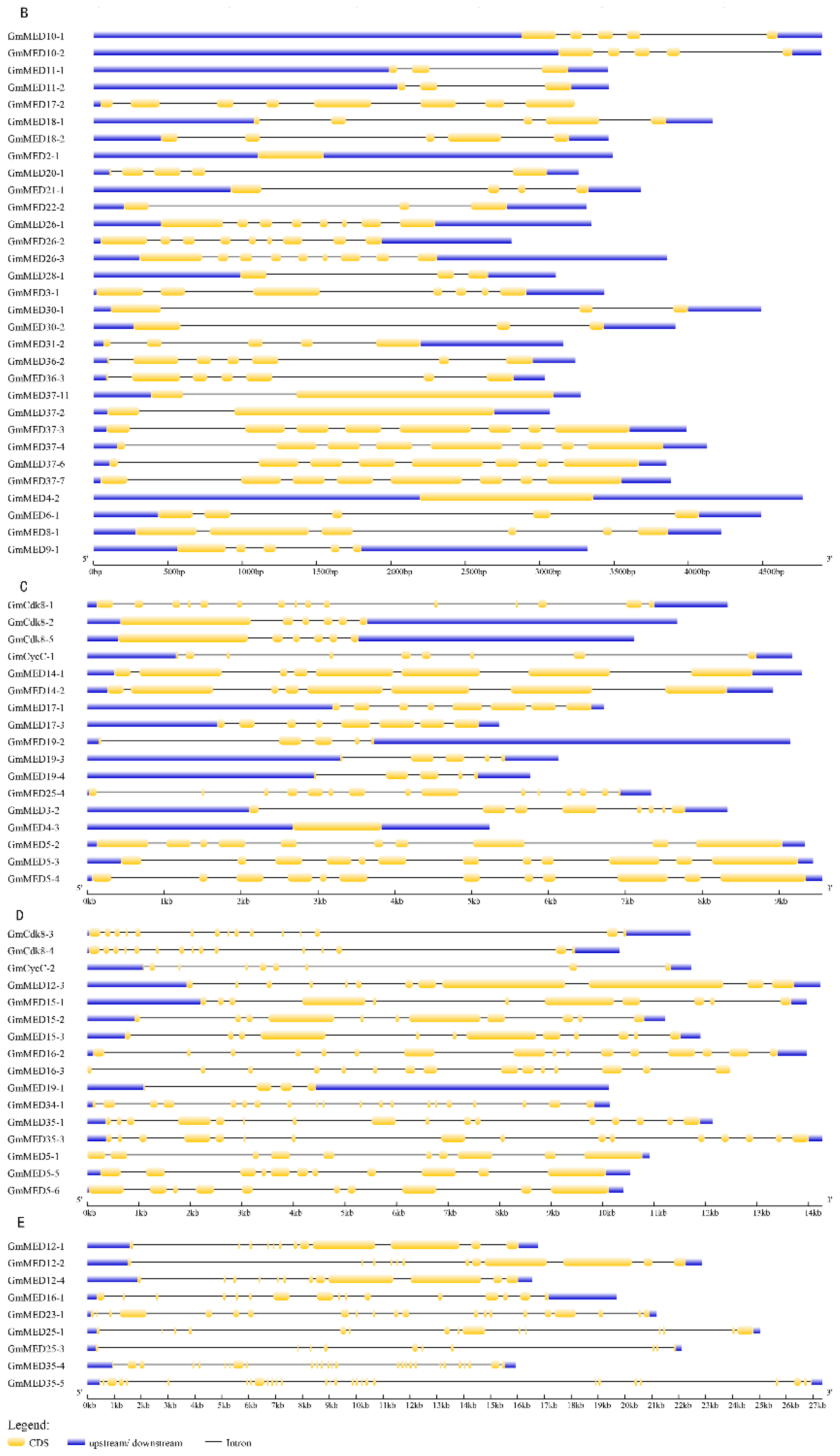 Ijms 20 04570 g003b Ijms 20 04570 g003b