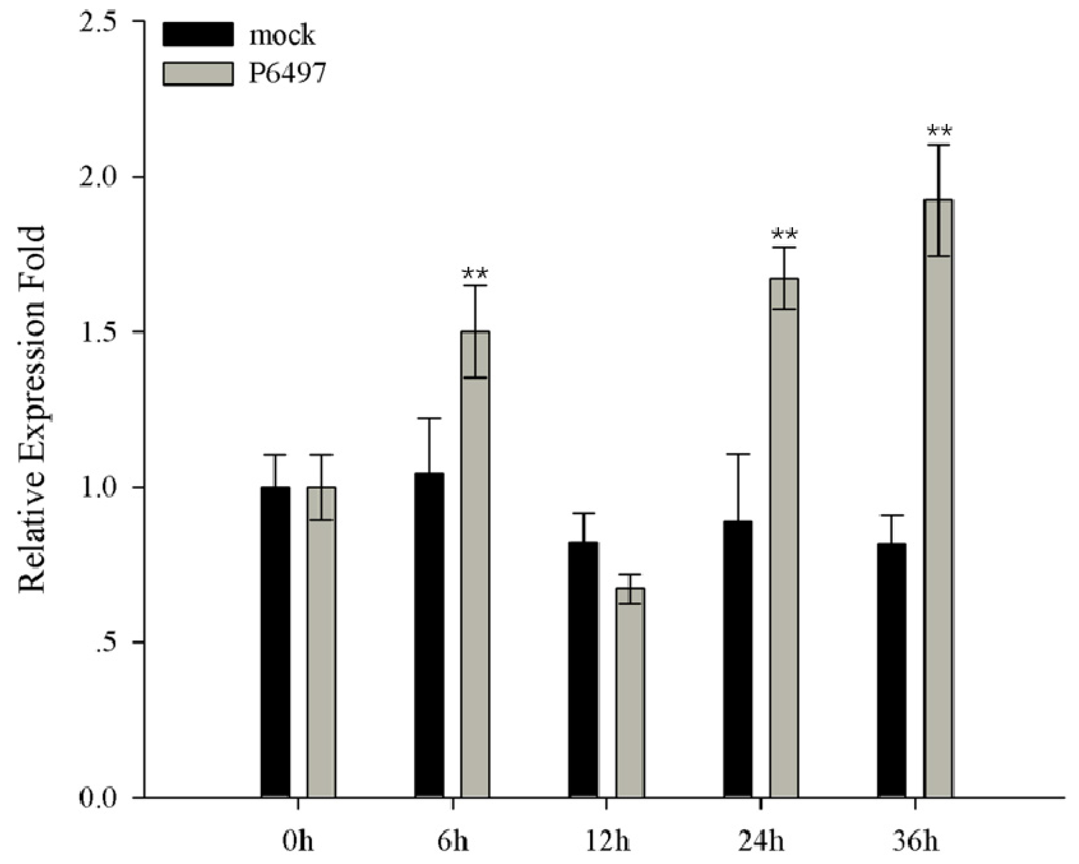Ijms 20 04570 g006 Ijms 20 04570 g006
