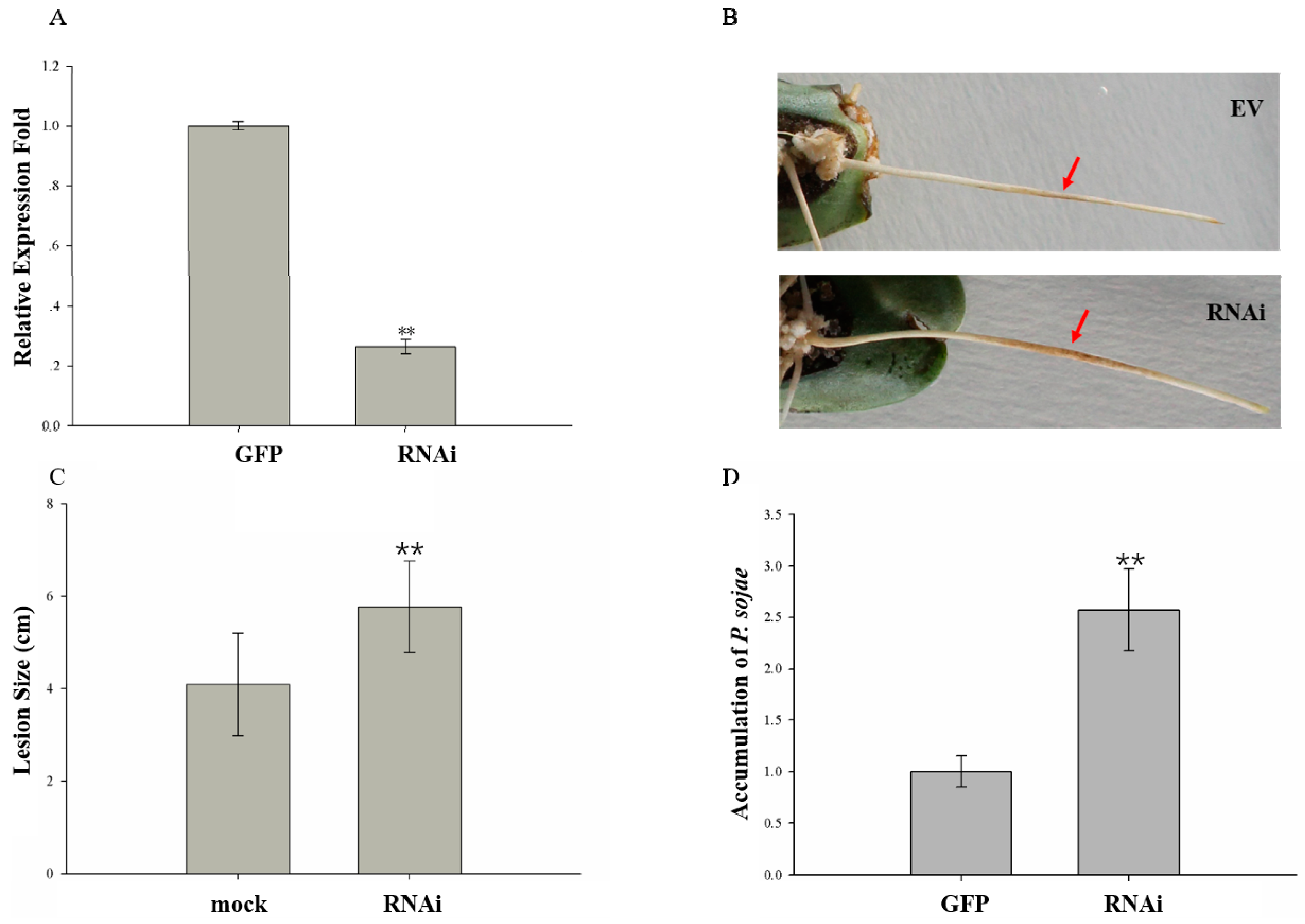Ijms 20 04570 g007 Ijms 20 04570 g007