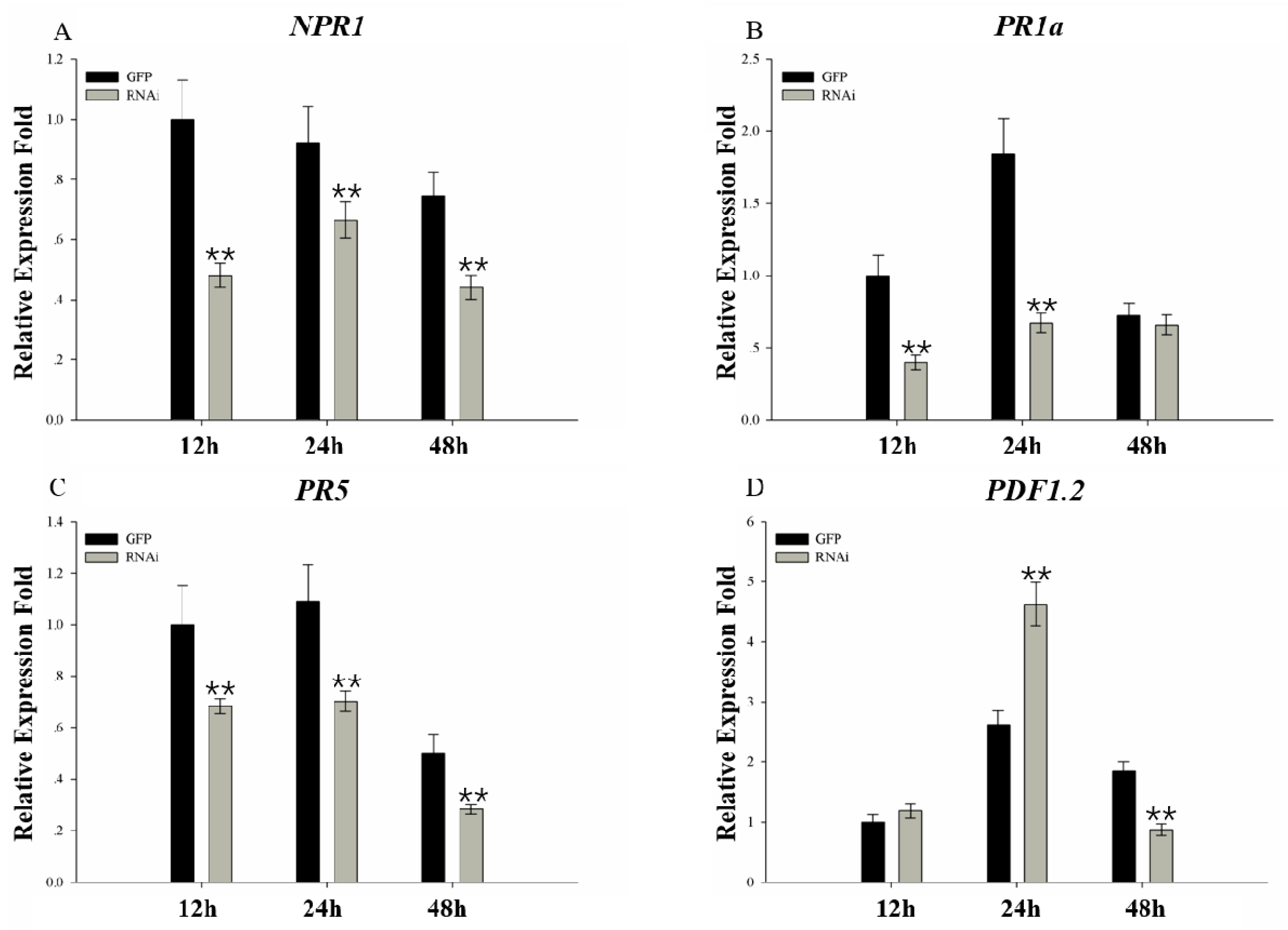 Ijms 20 04570 g008 Ijms 20 04570 g008