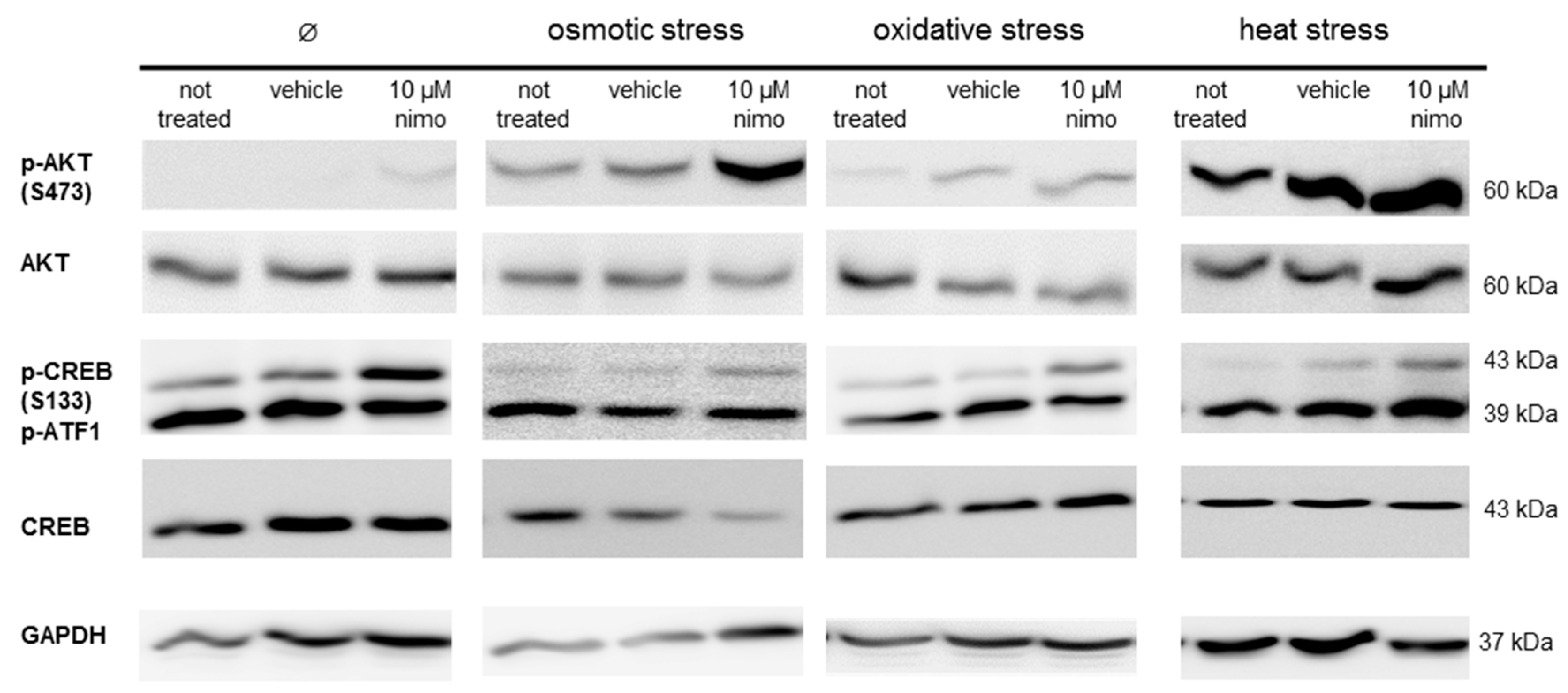 Ijms 20 04578 g005 Ijms 20 04578 g005
