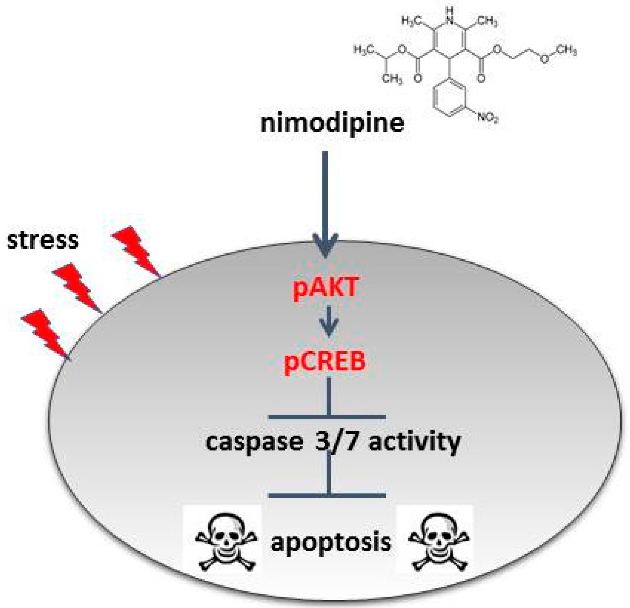 Ijms 20 04578 g006 Ijms 20 04578 g006