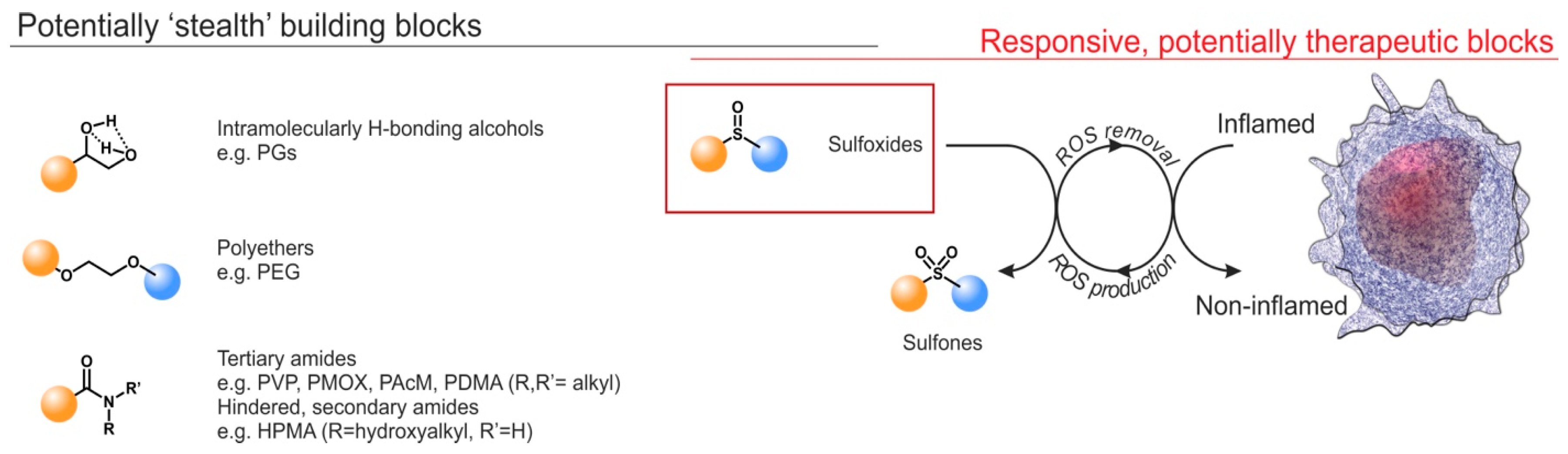 Ijms 20 04583 sch001 Ijms 20 04583 sch001