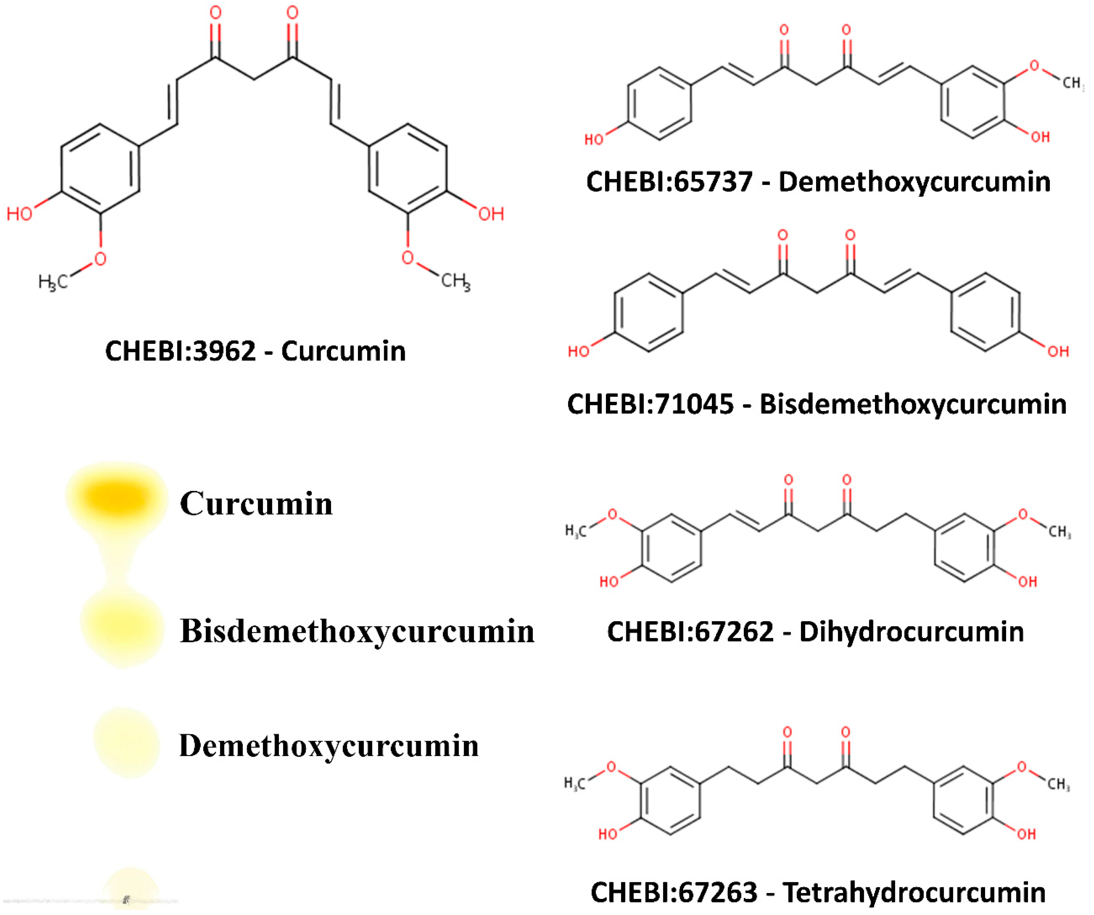 Ijms 20 04606 g002 Ijms 20 04606 g002
