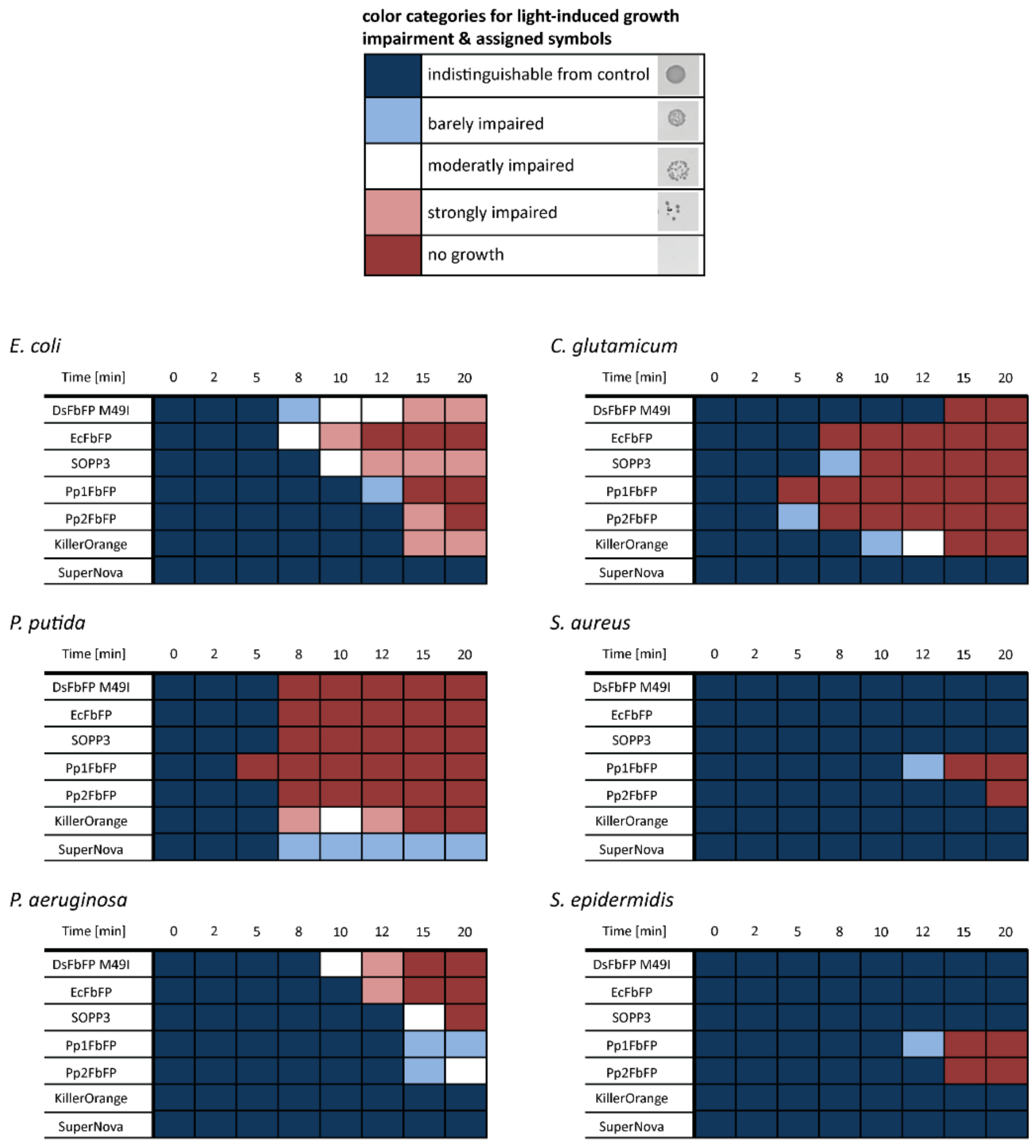Ijms 20 04608 g004 Ijms 20 04608 g004