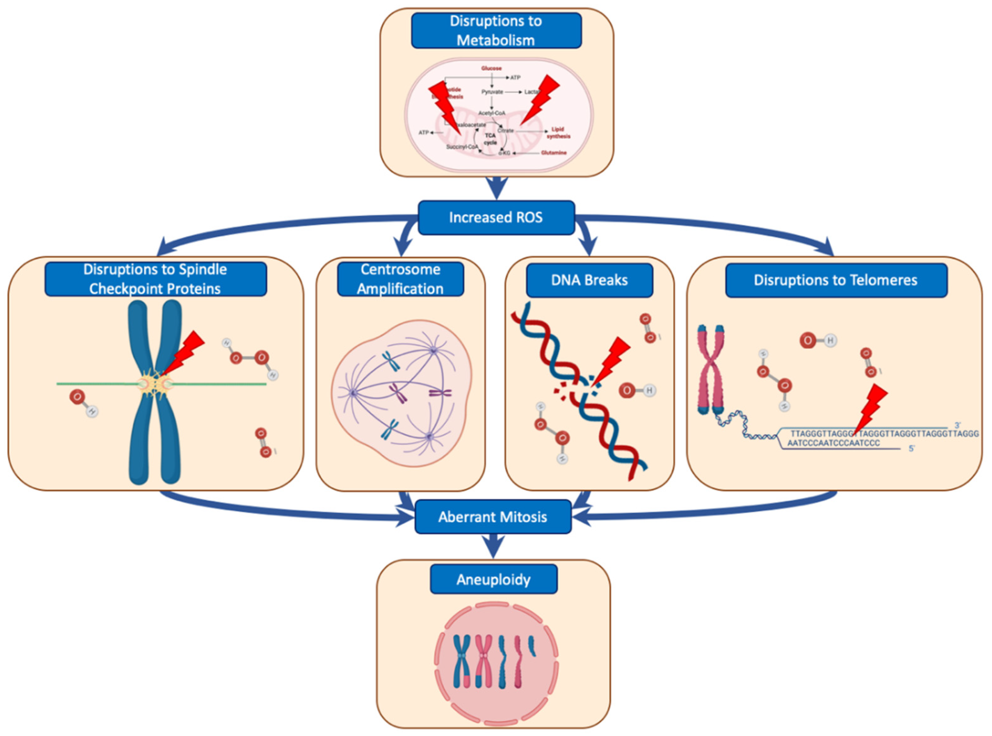 Ijms 20 04611 g003 Ijms 20 04611 g003