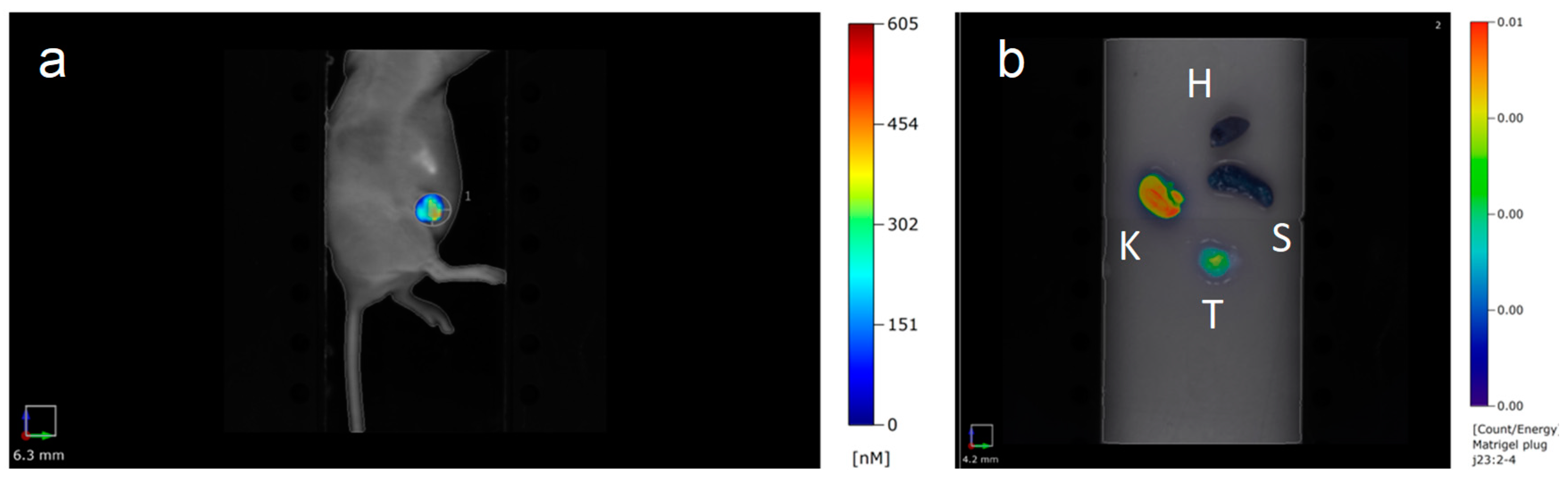 Ijms 20 04618 g010 Ijms 20 04618 g010